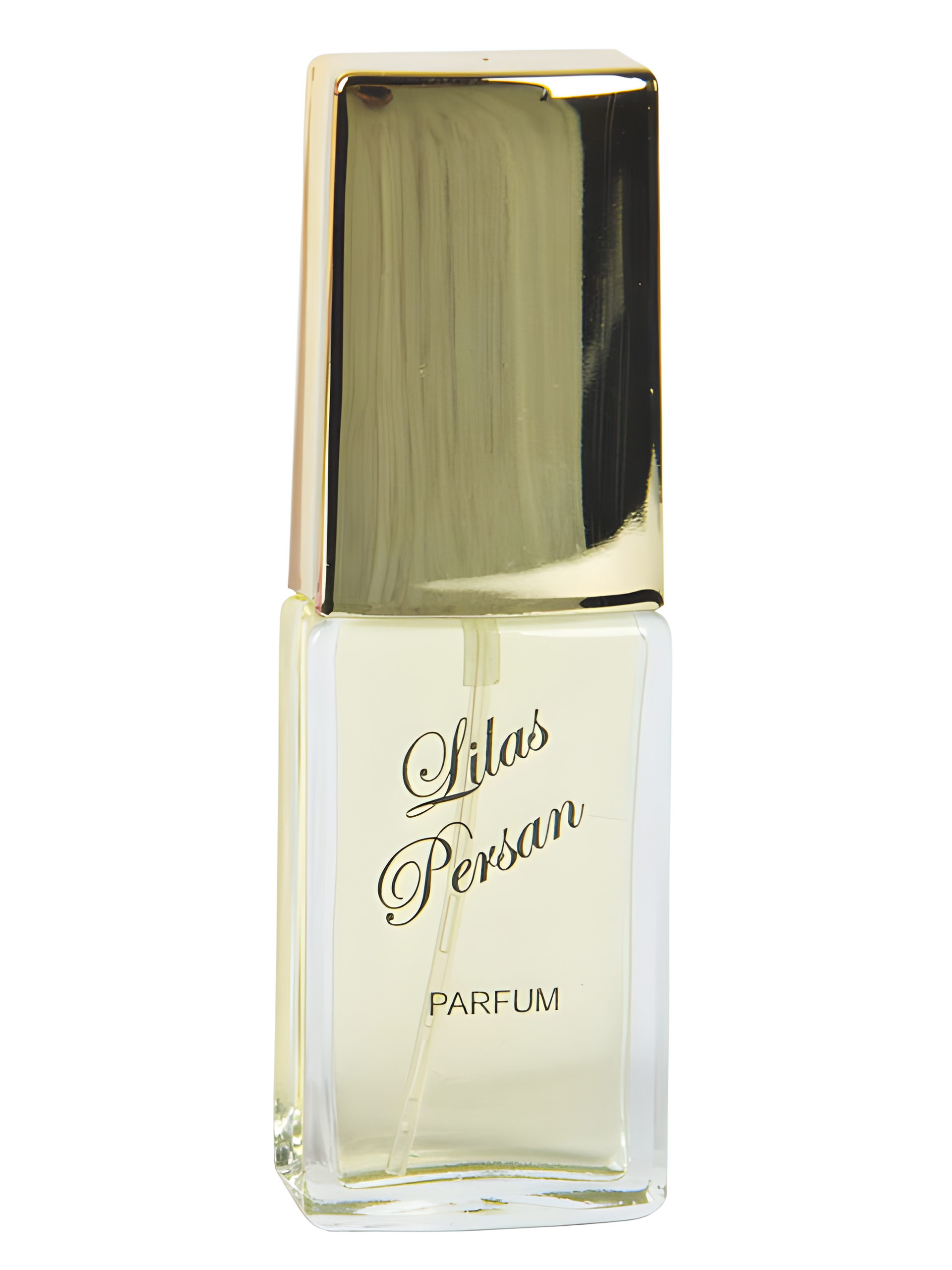 Новая Заря (The New Dawn) Lilas Persan