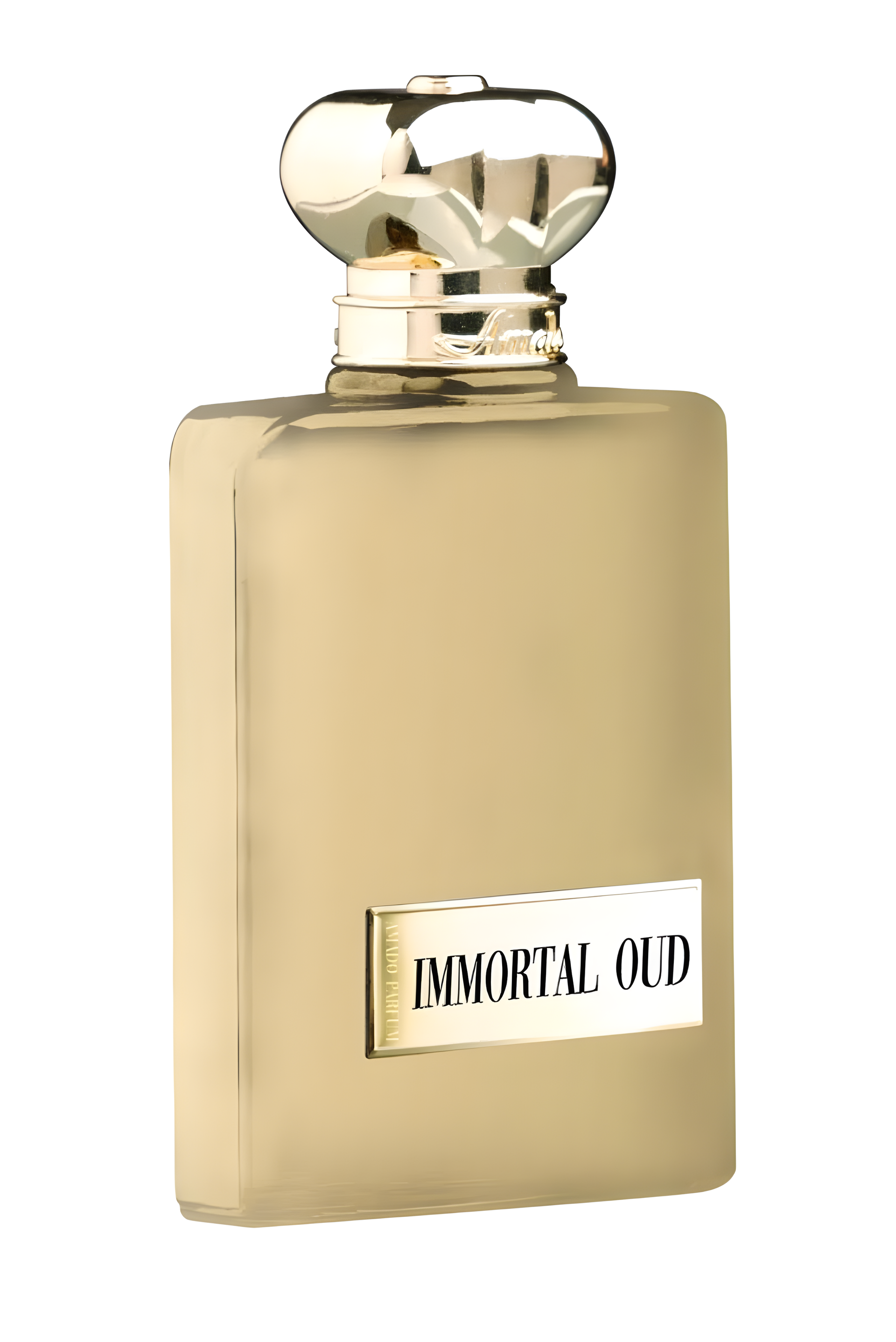 Immortal Oud by Amado perfume bottle