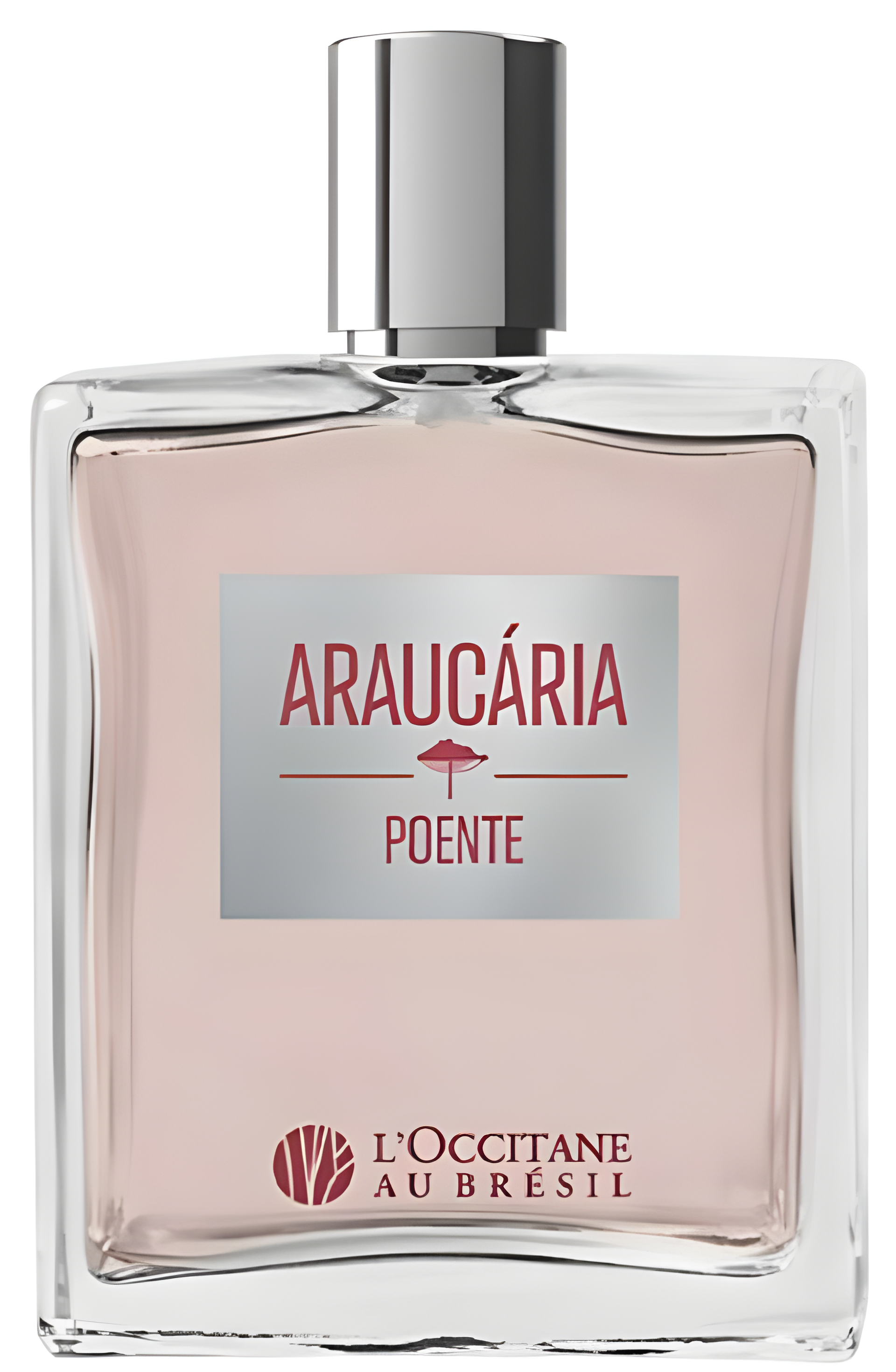 Araucária Poente by L’Occitane Au Brésil perfume bottle
