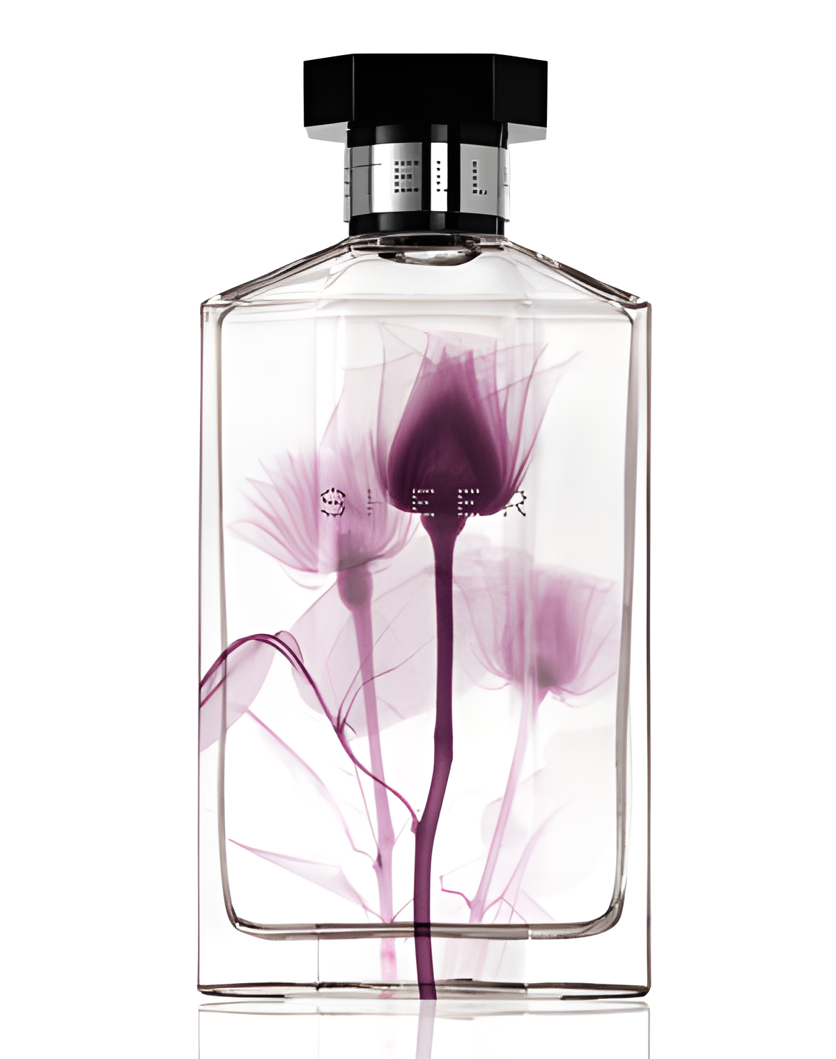 Sheer Stella 2011 by Stella McCartney perfume bottle