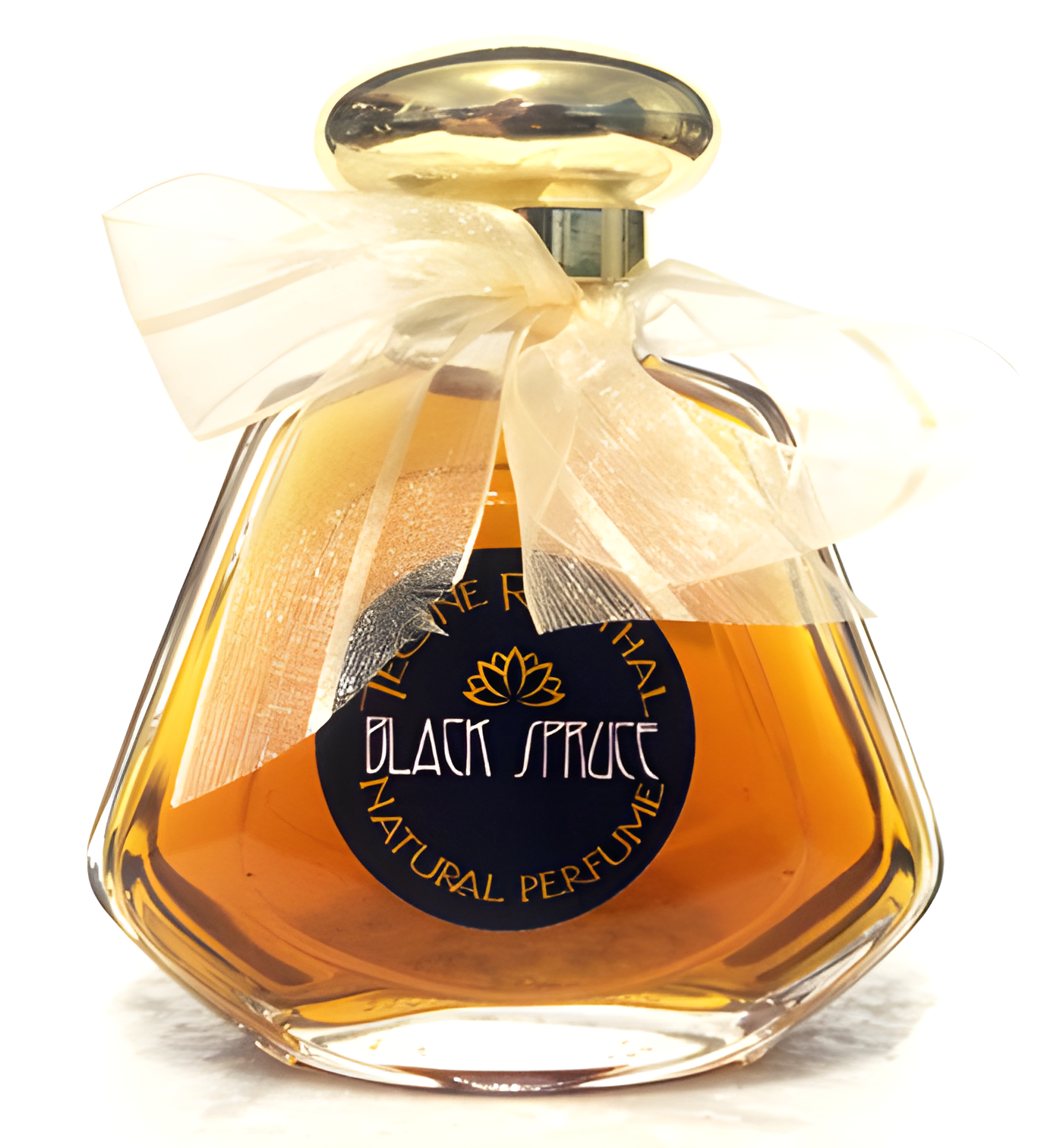 Black Spruce by TRNP perfume bottle