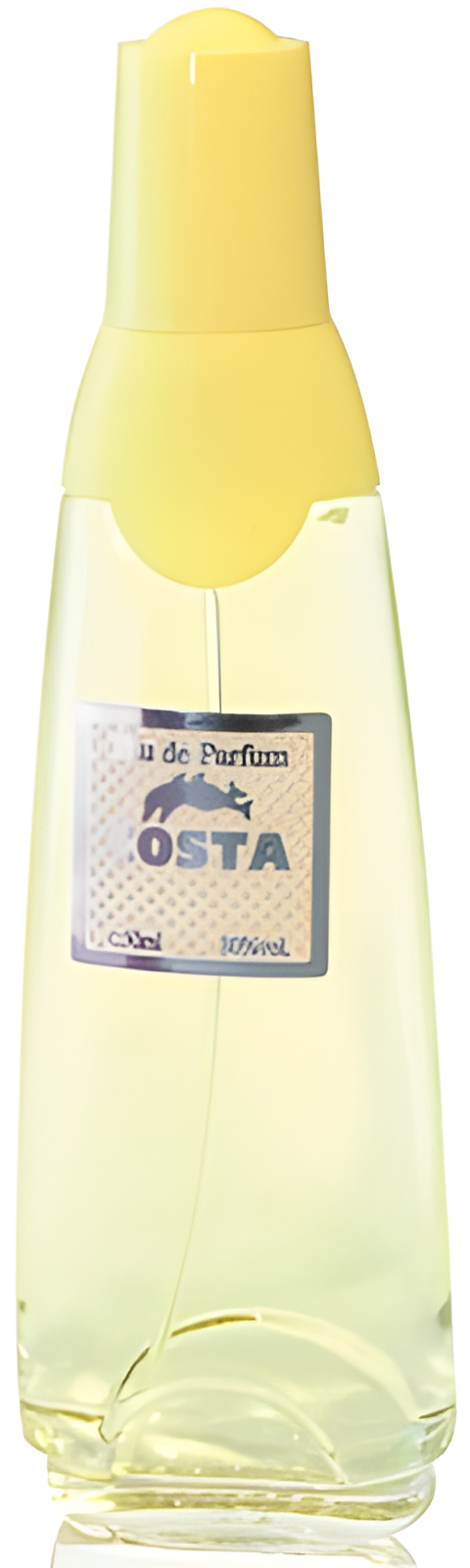 Costa by Ascania perfume bottle
