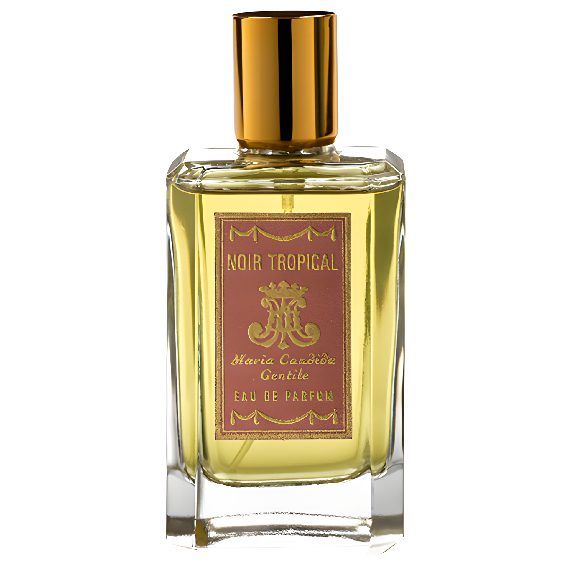 Noir Tropical by Maria Candida Gentile perfume bottle