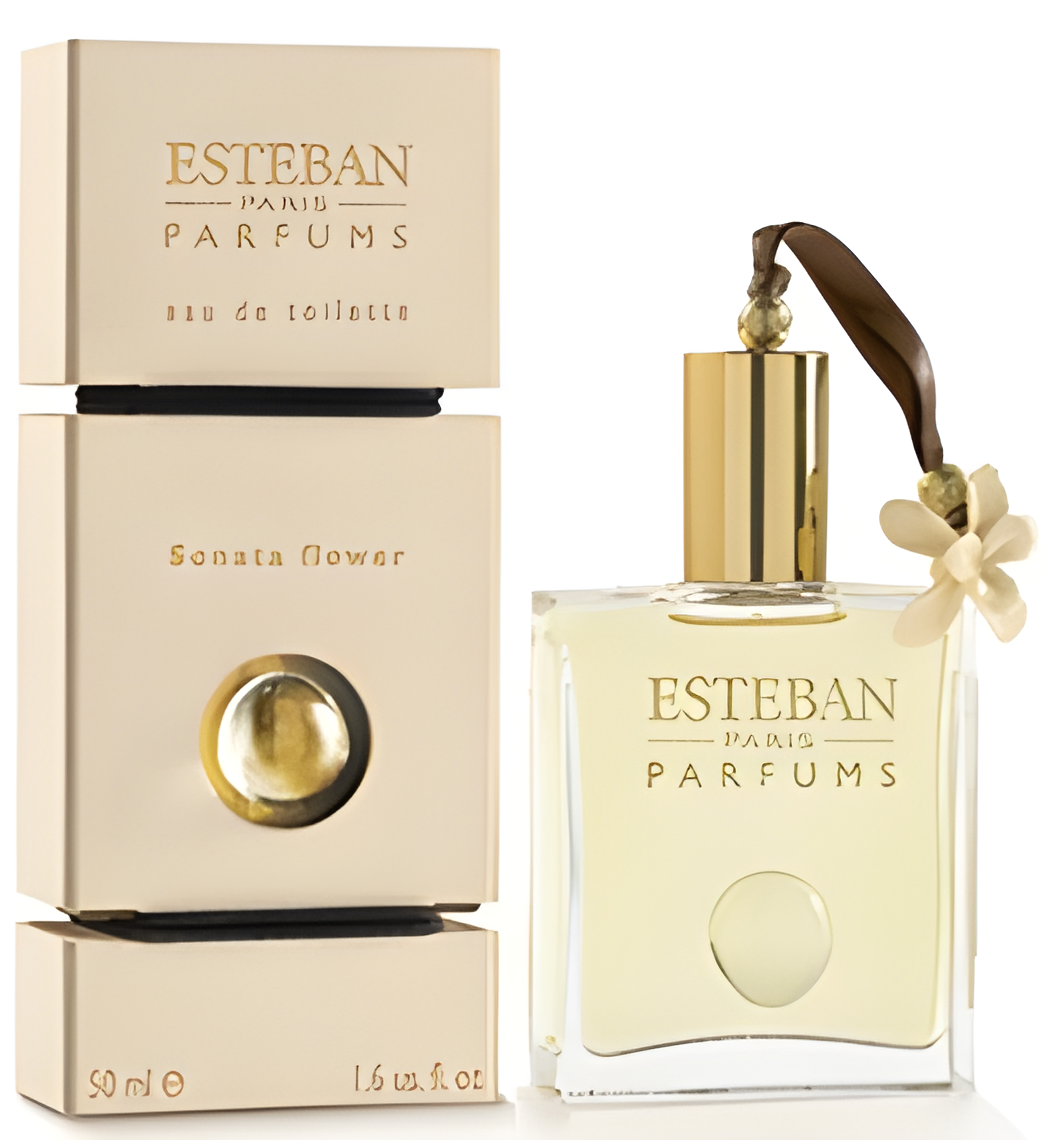 Sonata Flower by Esteban perfume bottle