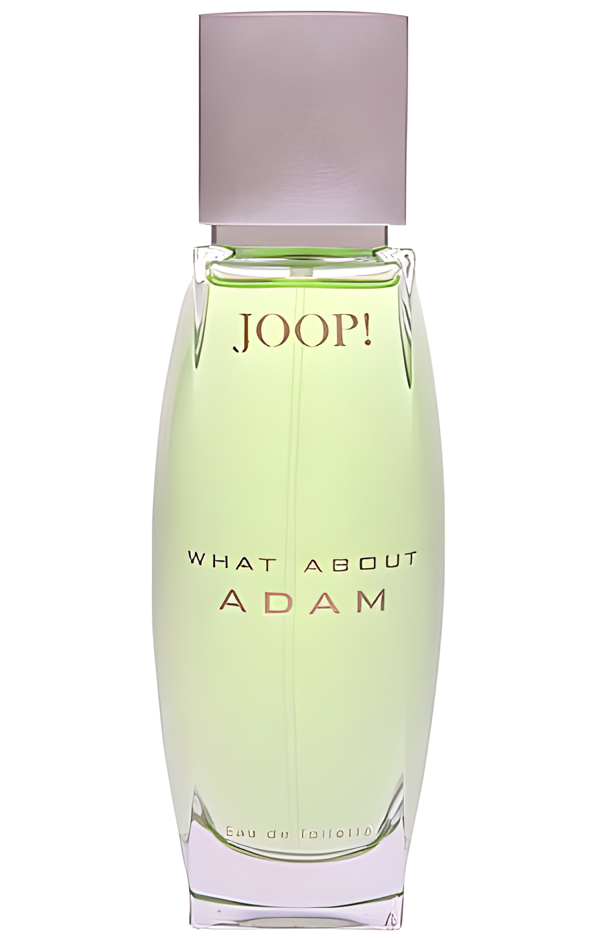 What About Adam by Joop! perfume bottle