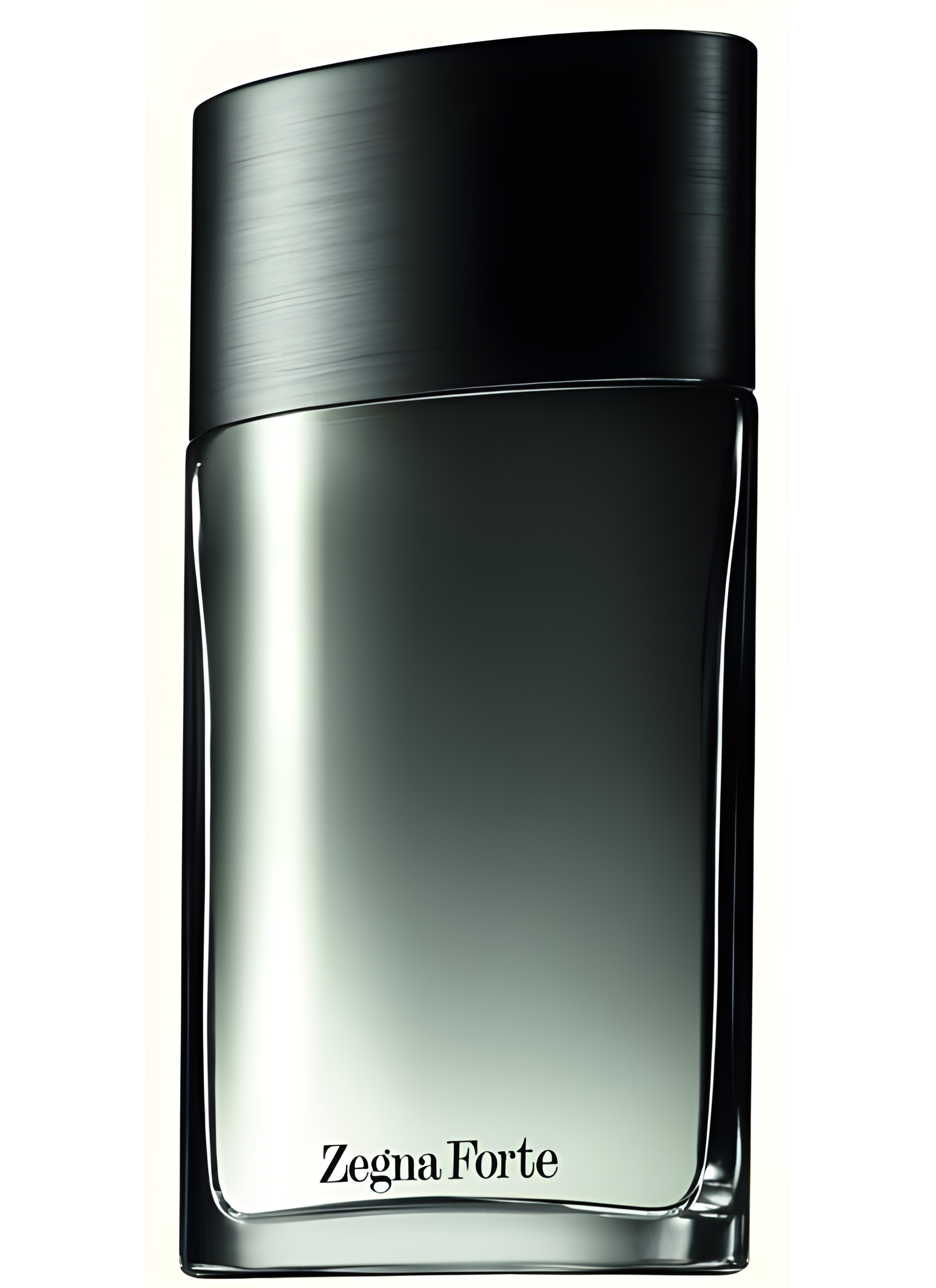 Zegna Forte by Ermenegildo Zegna perfume bottle