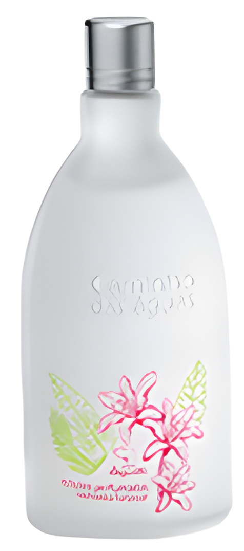 Edições Perfumadas Cachoeira Furta-Cor by Jequiti perfume bottle