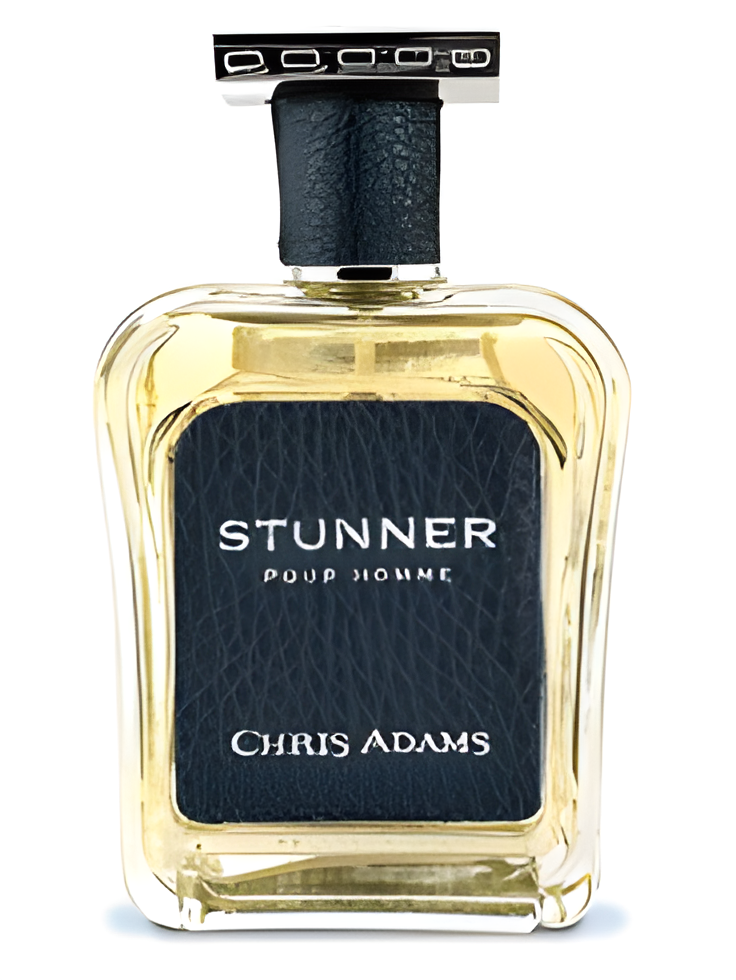 Stunner Pour Homme by Chris Adams perfume bottle