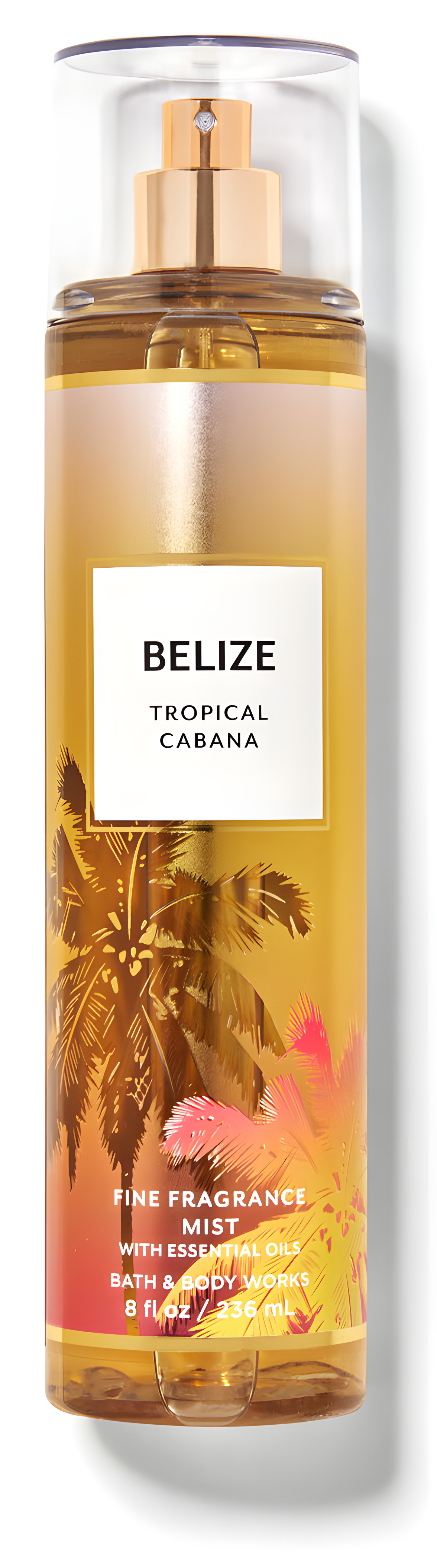 Belize Tropical Cabana by Bath & Body Works perfume bottle