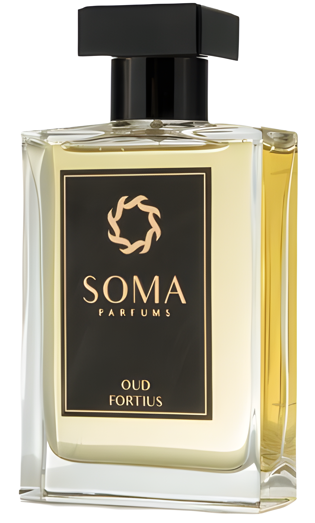 Oud Fortius by Soma Parfums perfume bottle