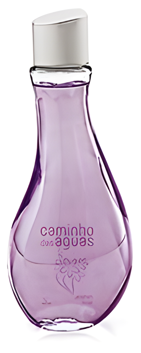 Caminho Das Águas Jasmim Rosé by Jequiti perfume bottle