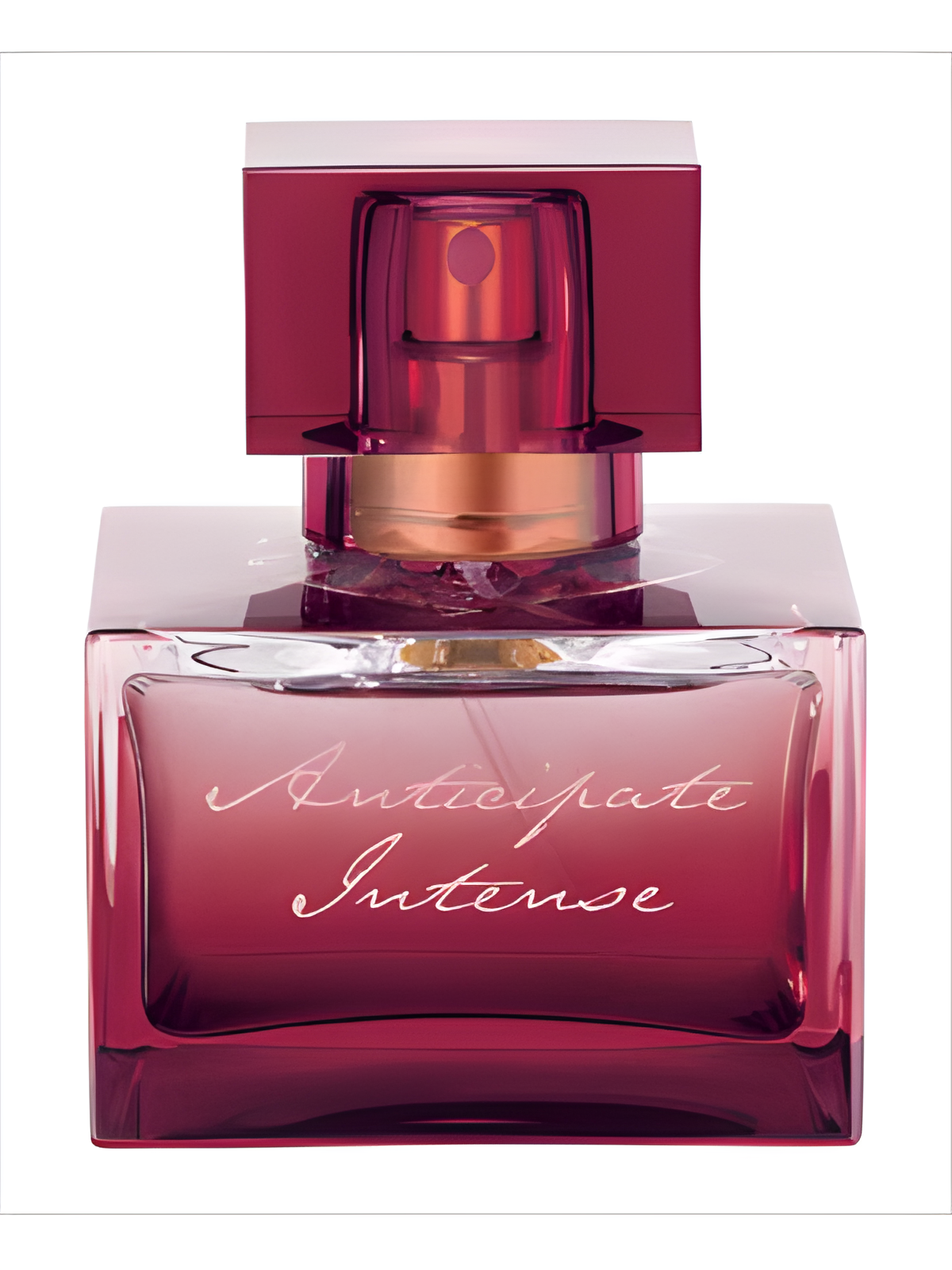 Anticipate Intense by Amway perfume bottle