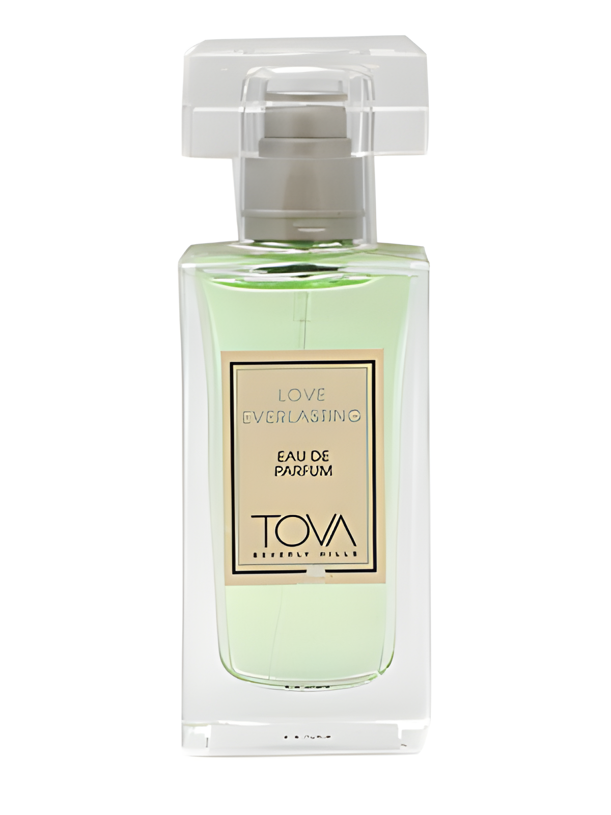 Love Everlasting by Tova Beverly Hills perfume bottle
