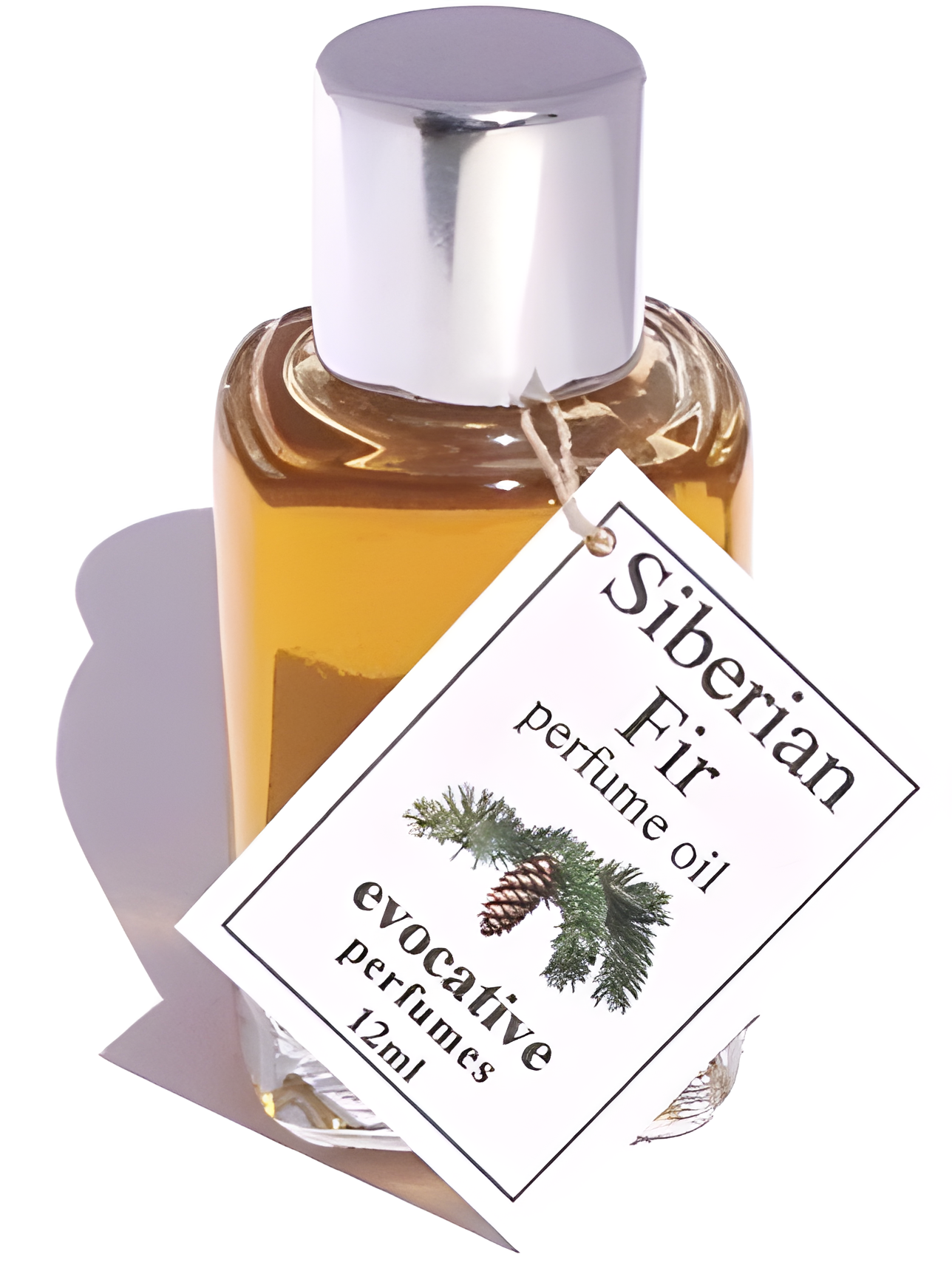 Siberian Fir by Evocative Perfumes perfume bottle