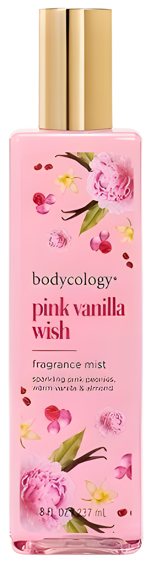 Pink Vanilla Wish by Bodycology perfume bottle