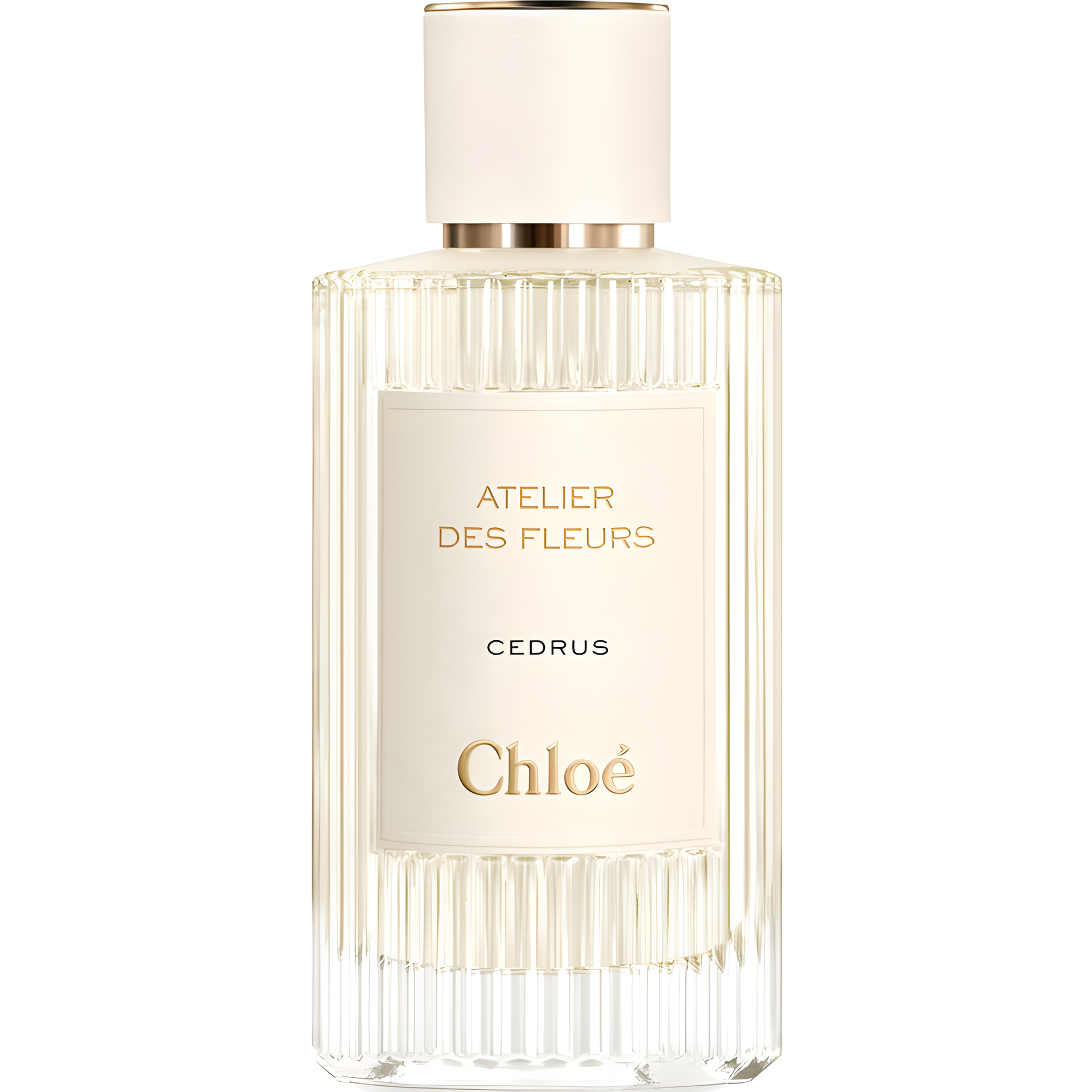Cedrus by Chloé perfume bottle