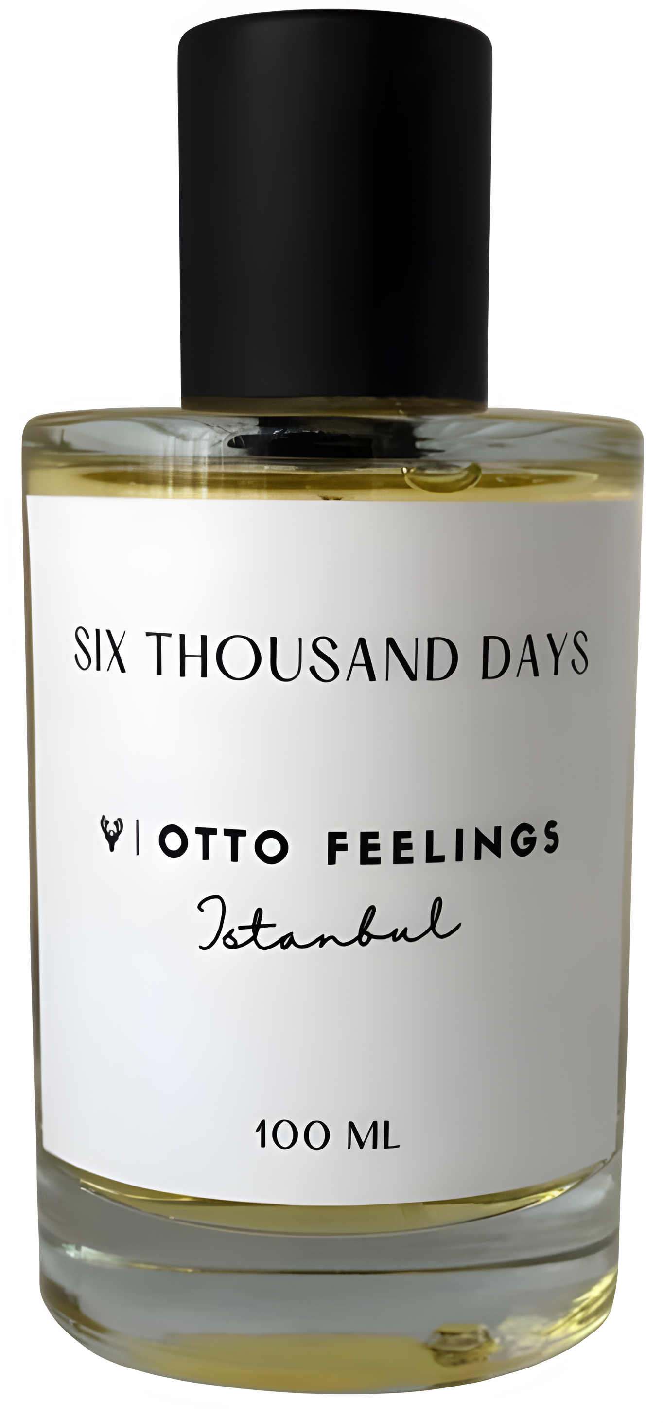 Six Thousand Days by Otto Feelings perfume bottle