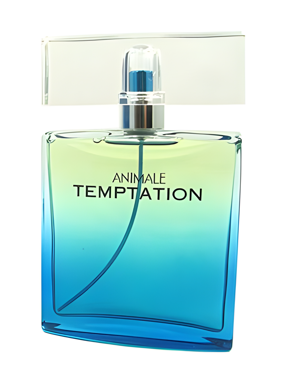 Animale Temptation for Men by Animale perfume bottle