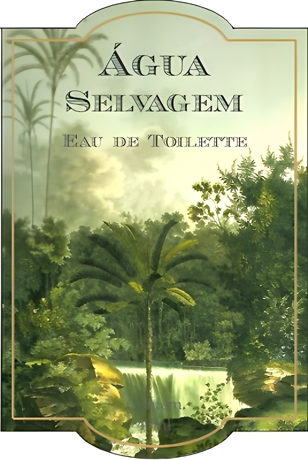 Agua Selvagem by Companhia da Terra perfume bottle