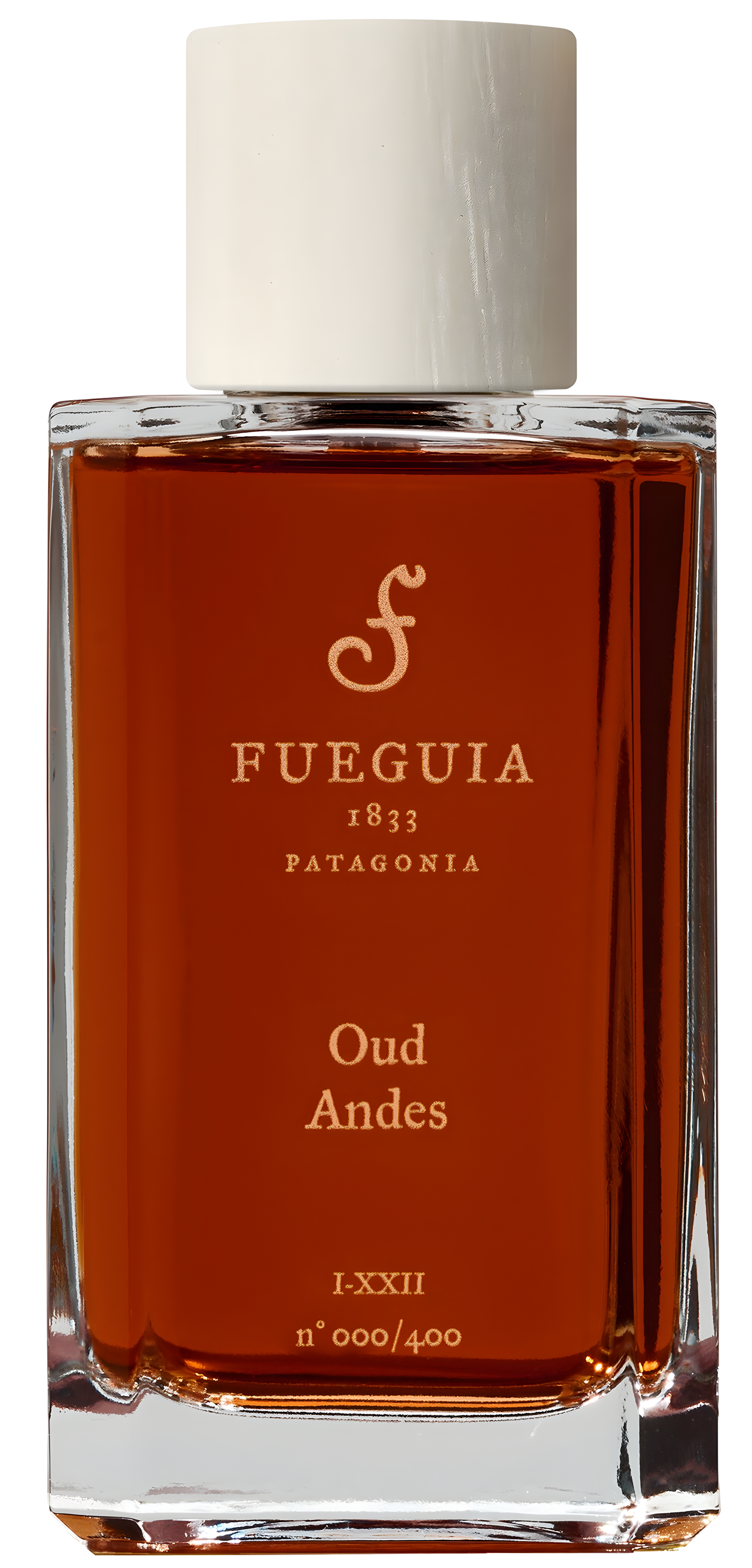 Oud Andes by Fueguia 1833 perfume bottle