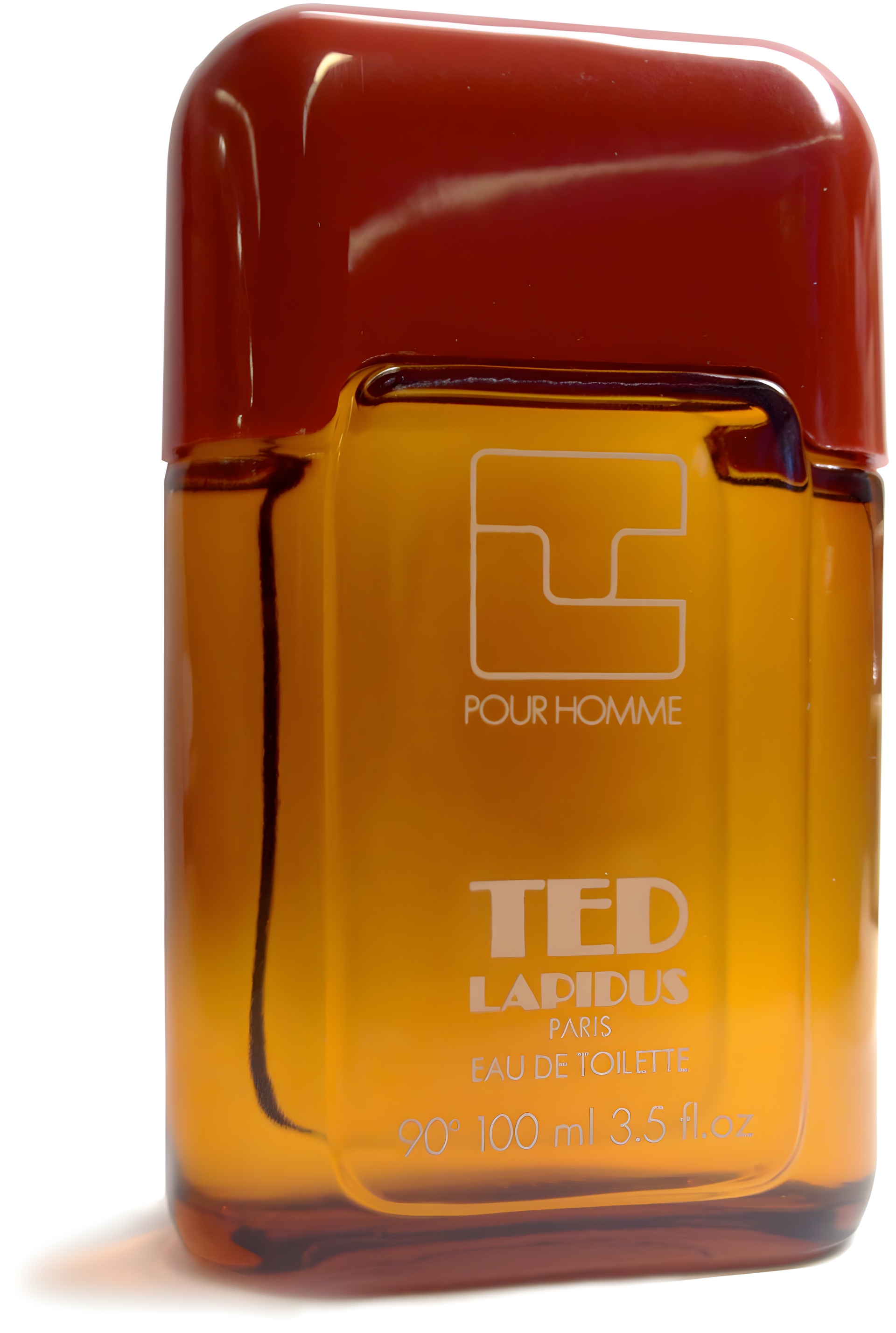 Pour Homme by Ted Lapidus perfume bottle