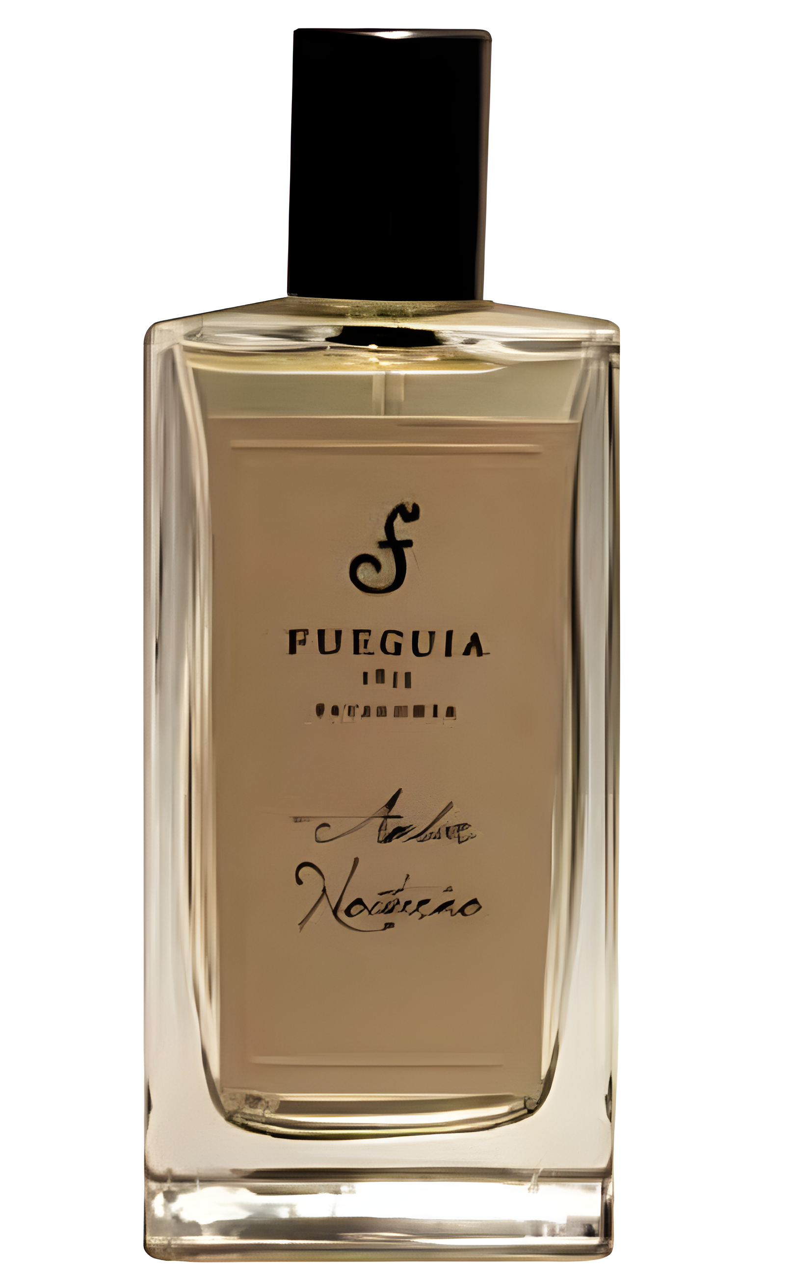Ambar Nocturno by Fueguia 1833 perfume bottle