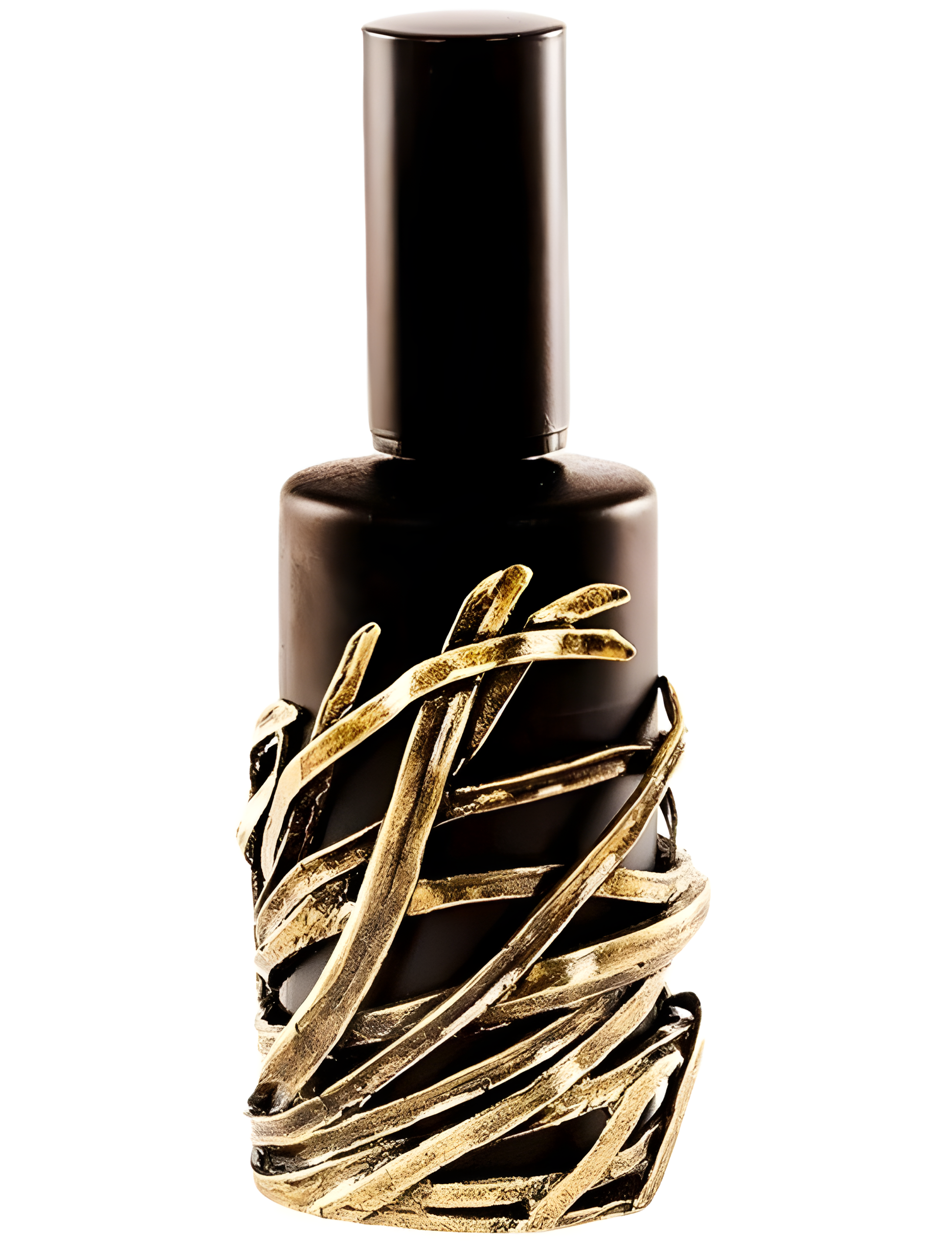 Alchemico Visione 2 Aria by Goti perfume bottle