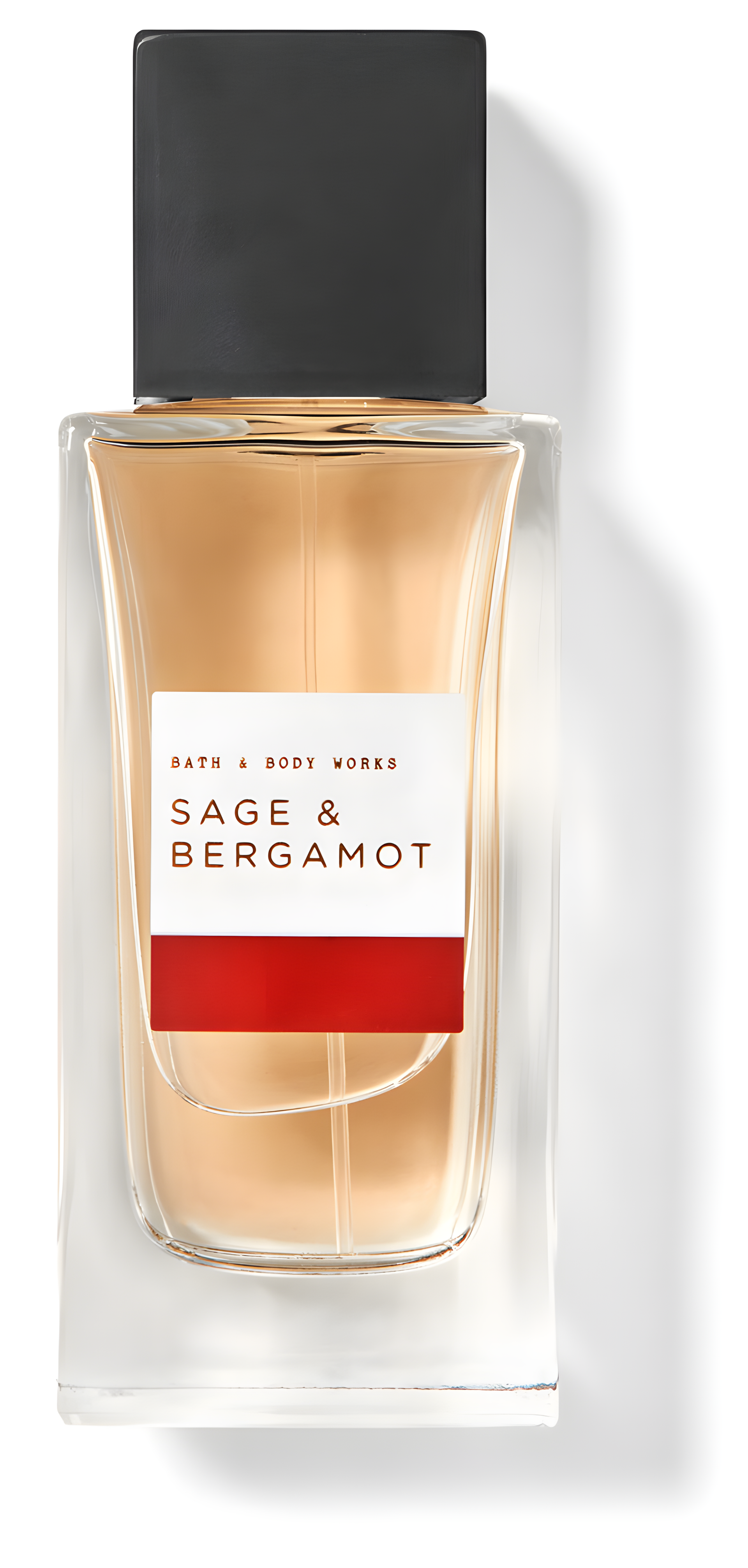 Sage & Bergamot by Bath & Body Works perfume bottle