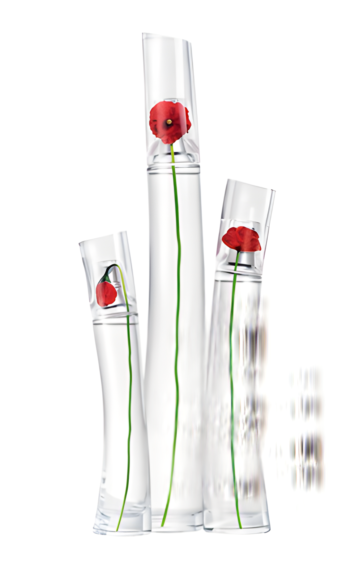 Flower by Kenzo Eau de Toilette by Kenzo perfume bottle