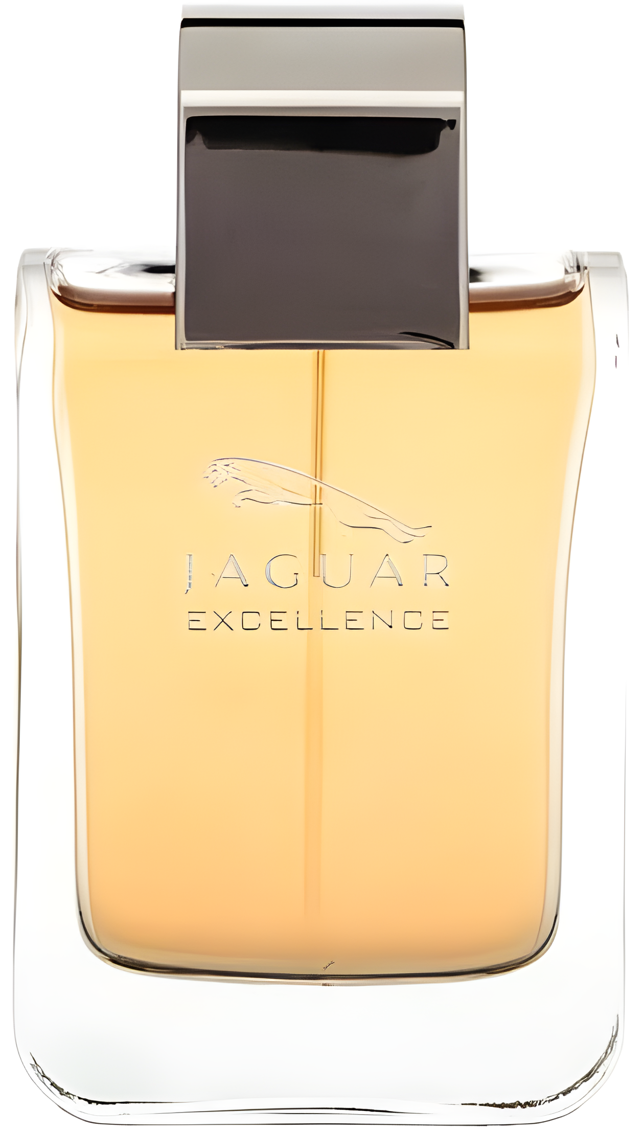 Jaguar Excellence by Jaguar perfume bottle