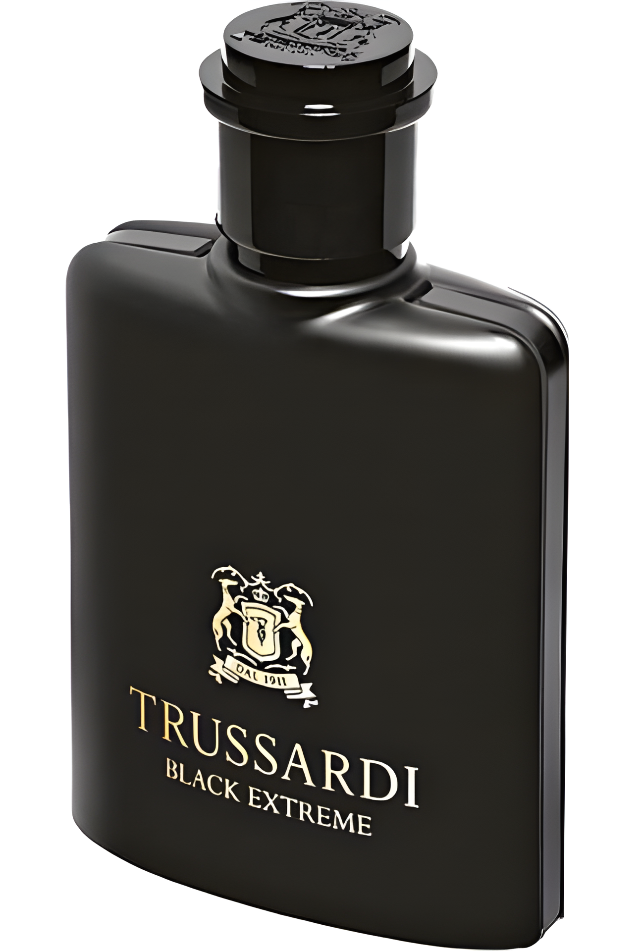 Trussardi Black Extreme by Trussardi perfume bottle