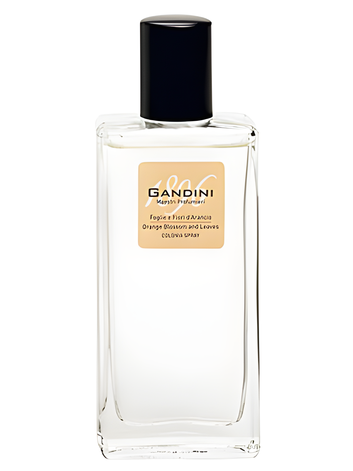 Orange Blossom and Leaf by Gandini 1896 perfume bottle
