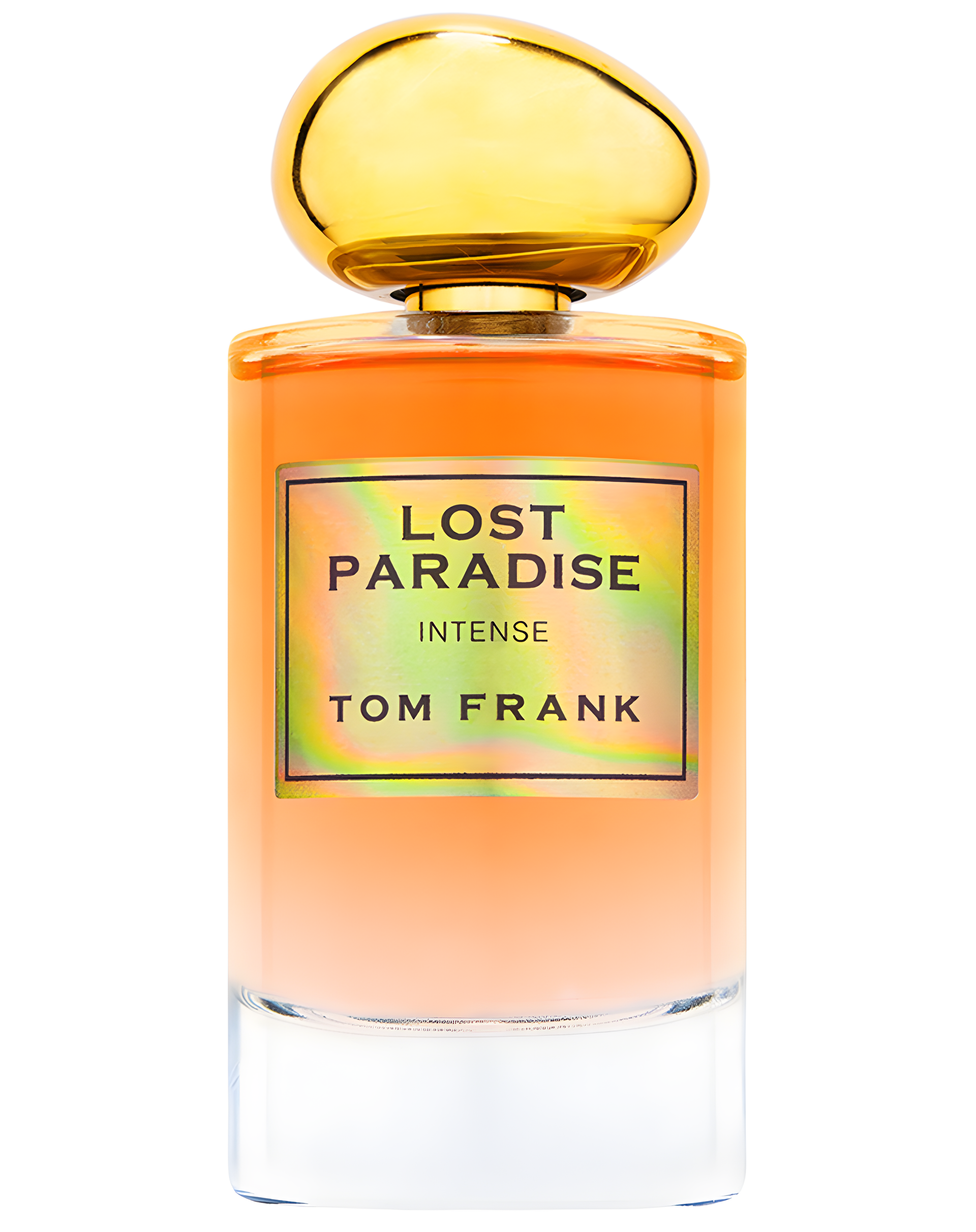 Lost Paradise by Tom Frank perfume bottle