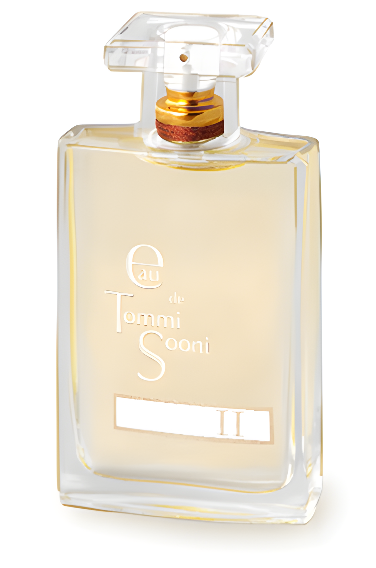 Eau de Tommi Sooni II by Tommi Sooni perfume bottle