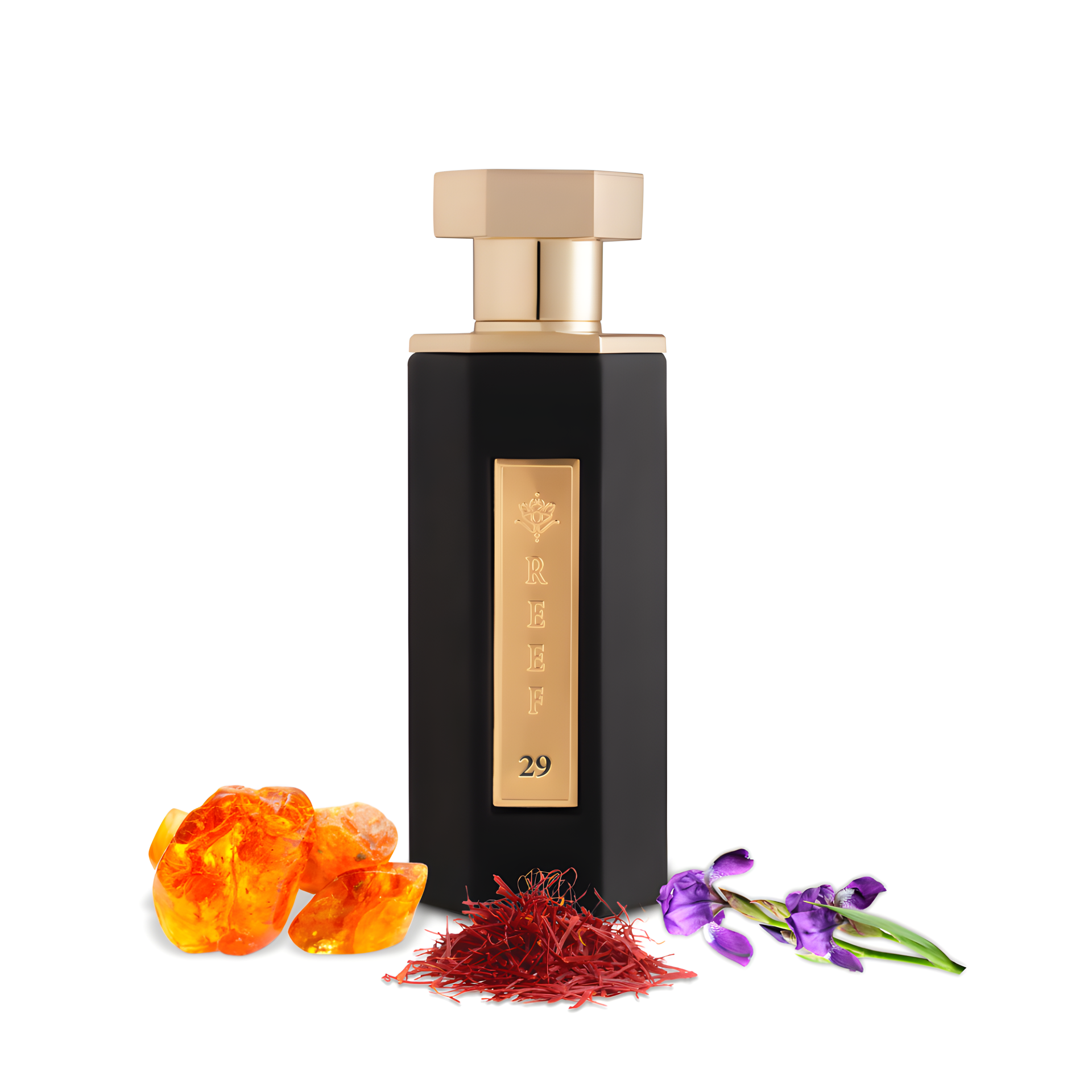 Reef 29 by Reef Perfumes perfume bottle