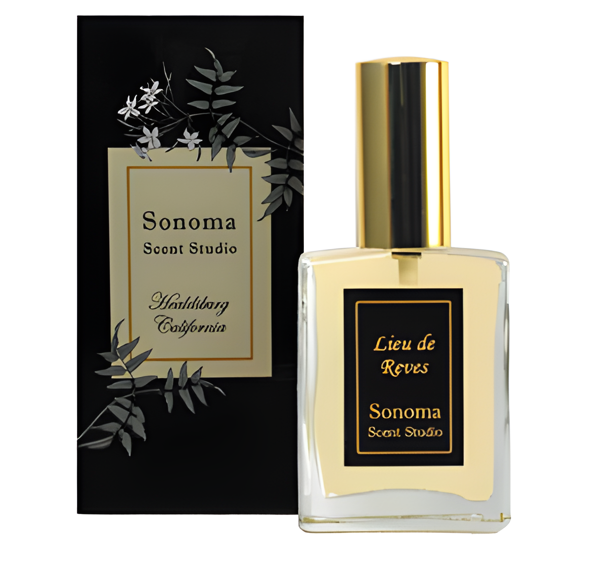 Lieu de Reves by Sonoma Scent Studio perfume bottle