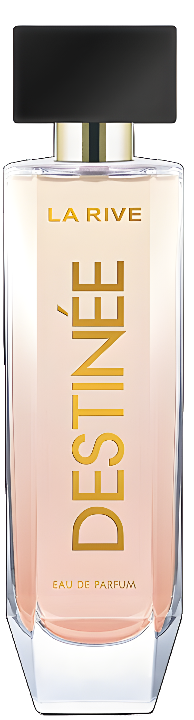 Destinée by La Rive perfume bottle