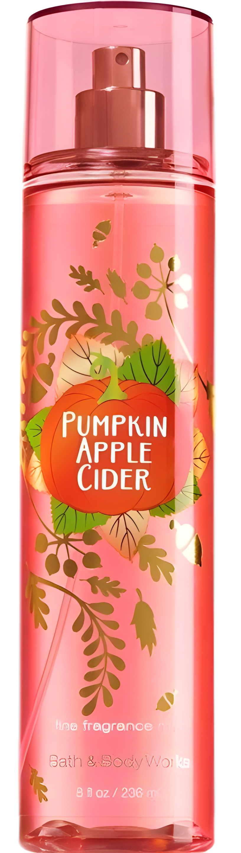 Pumpkin Apple Cider by Bath & Body Works perfume bottle