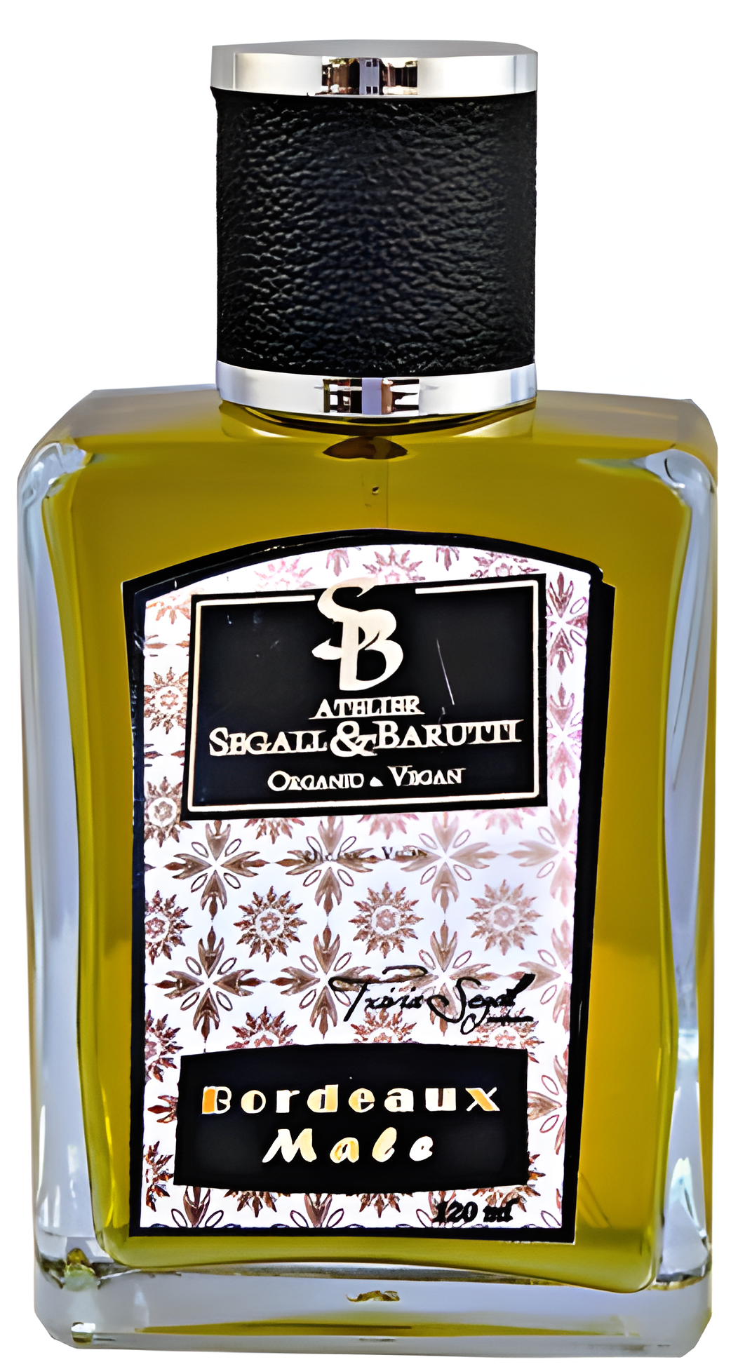 Bordeaux Male by Atelier Segall & Barutti
