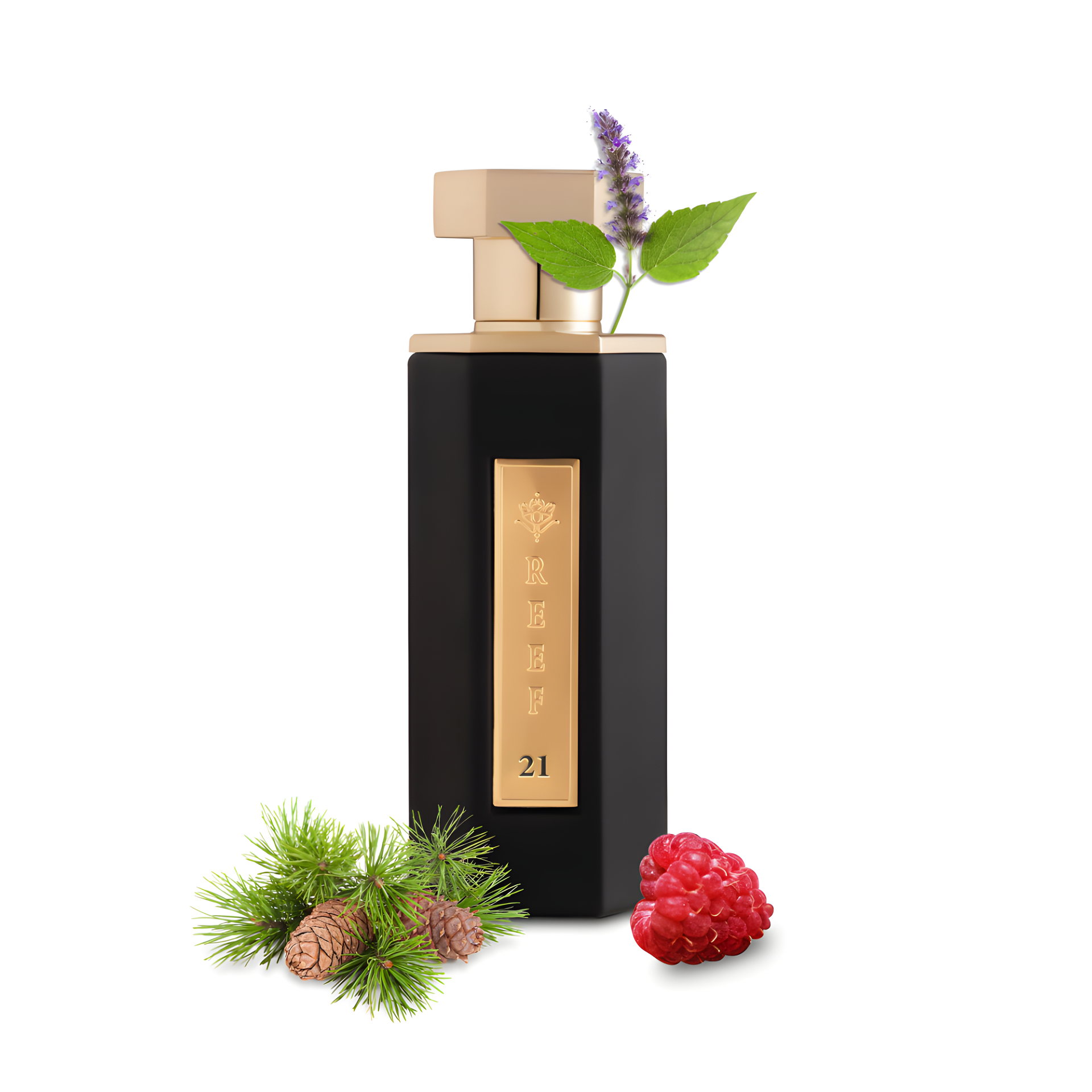 Reef 21 by Reef Perfumes perfume bottle