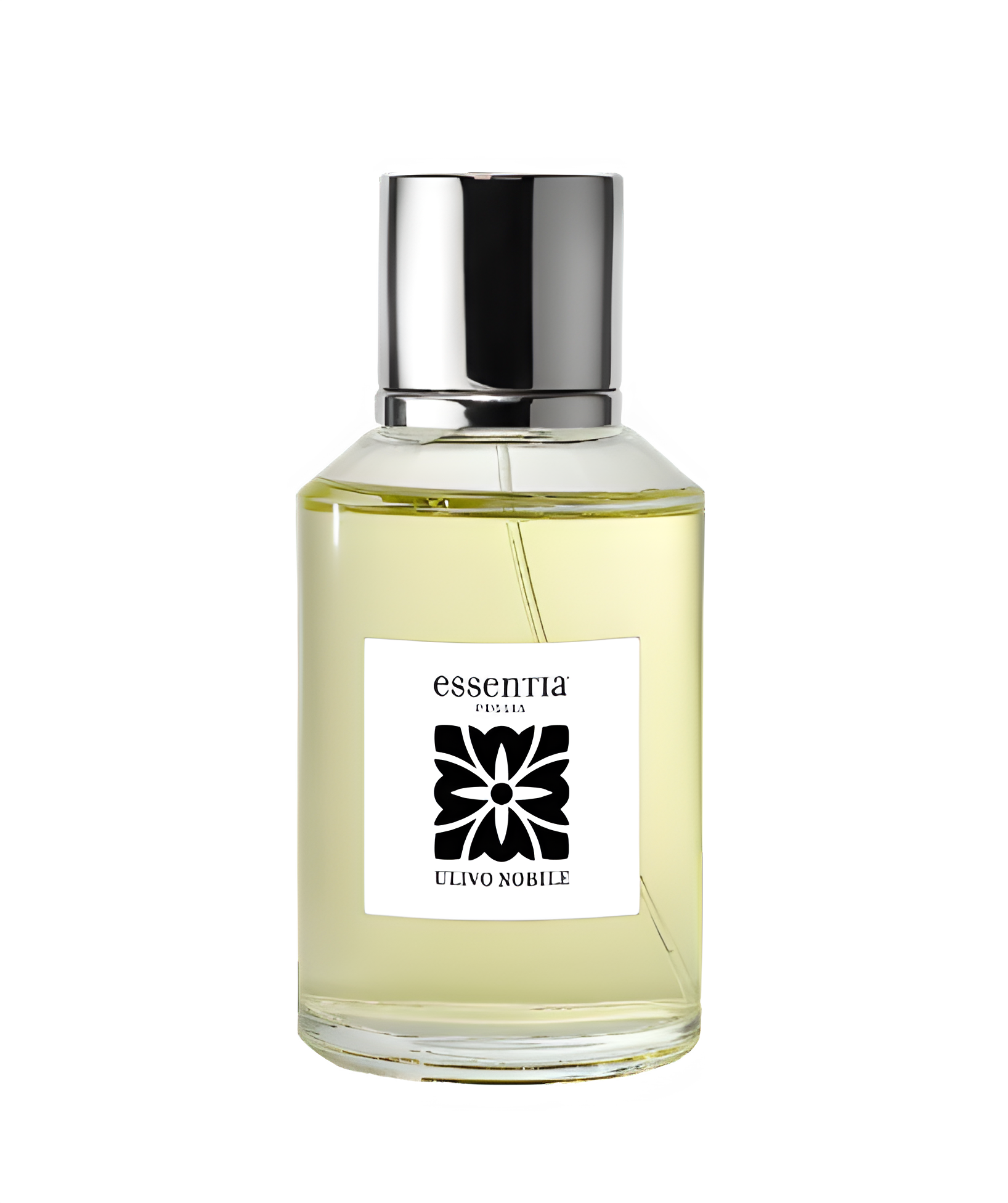 Ulivo Nobile by Essentia Puglia perfume bottle