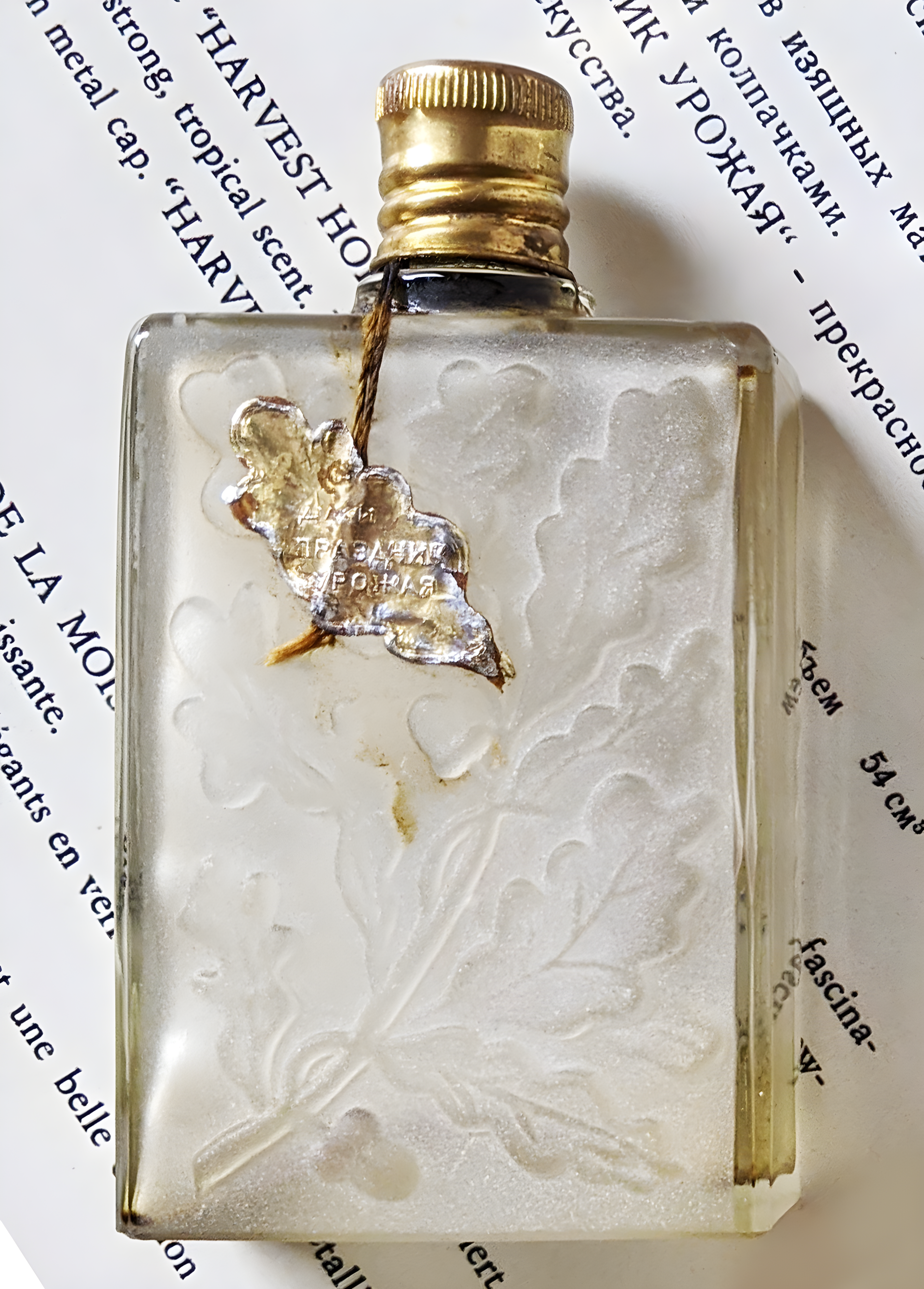 Праздник Урожая (Harvest Fest) by Новая Заря (The New Dawn) perfume bottle