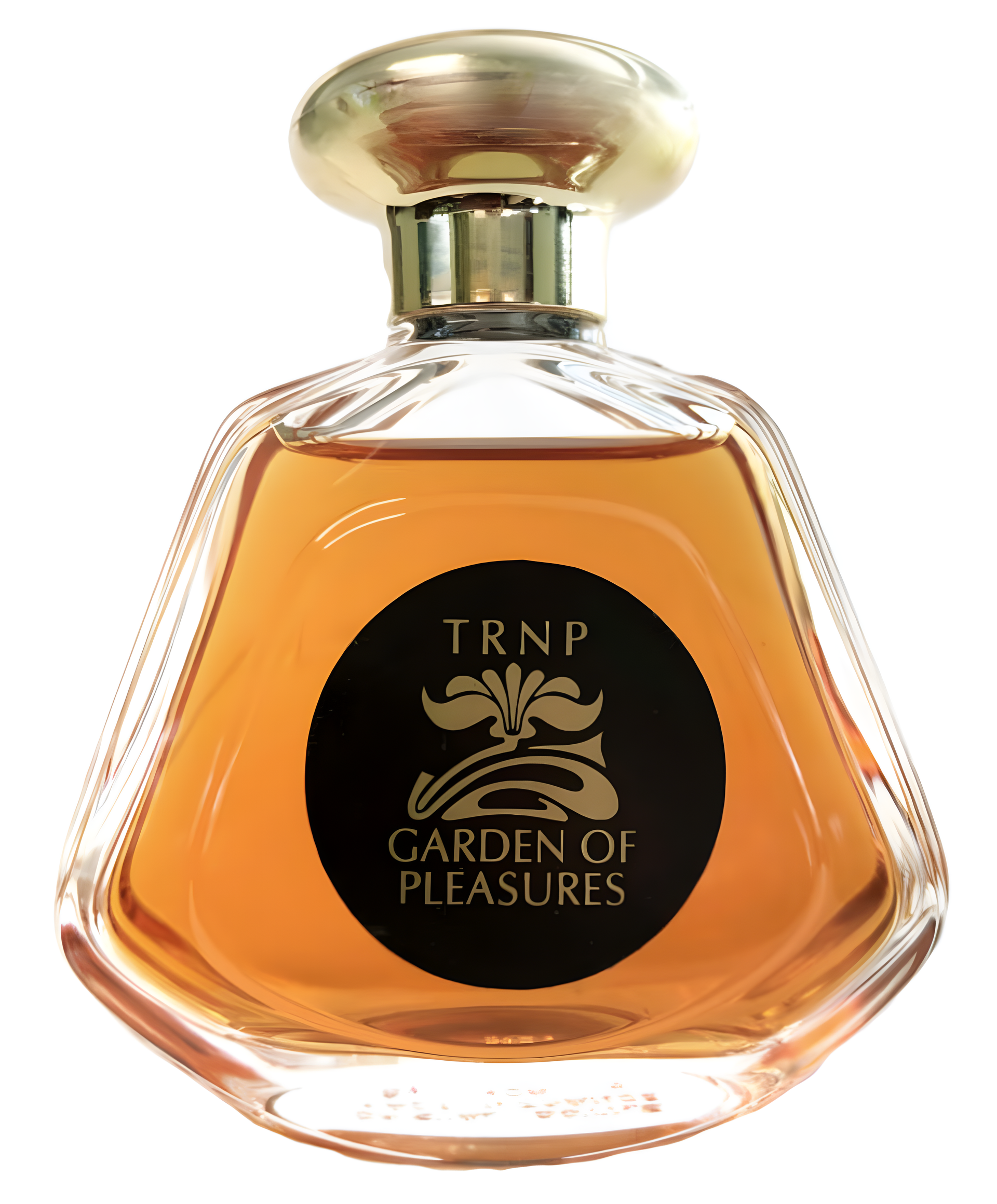 Garden of Pleasures by TRNP