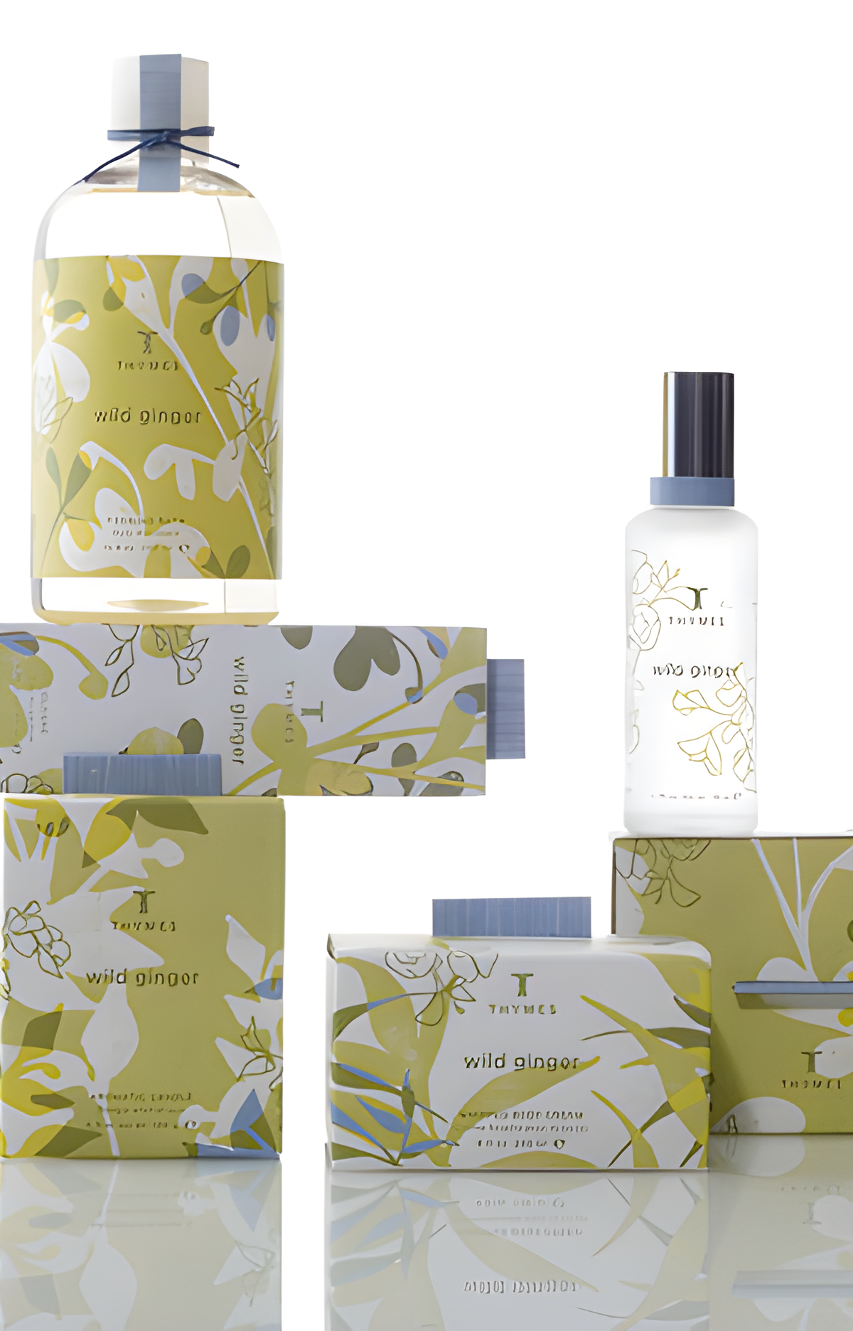 Wild Ginger by Thymes perfume bottle