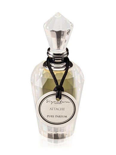 Attache by Signature Fragrances perfume bottle