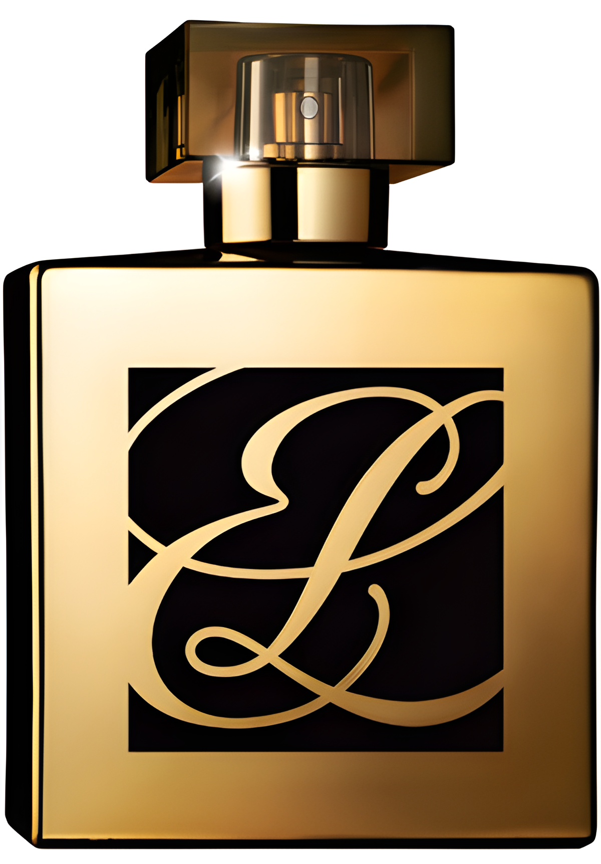 Wood Mystique by Estée Lauder perfume bottle