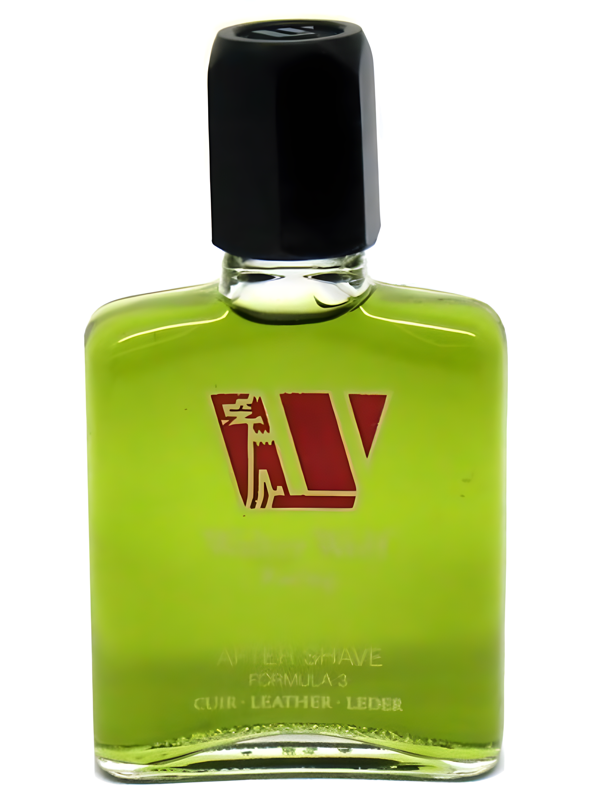 Formula 1 Leather by Walter Wolf perfume bottle