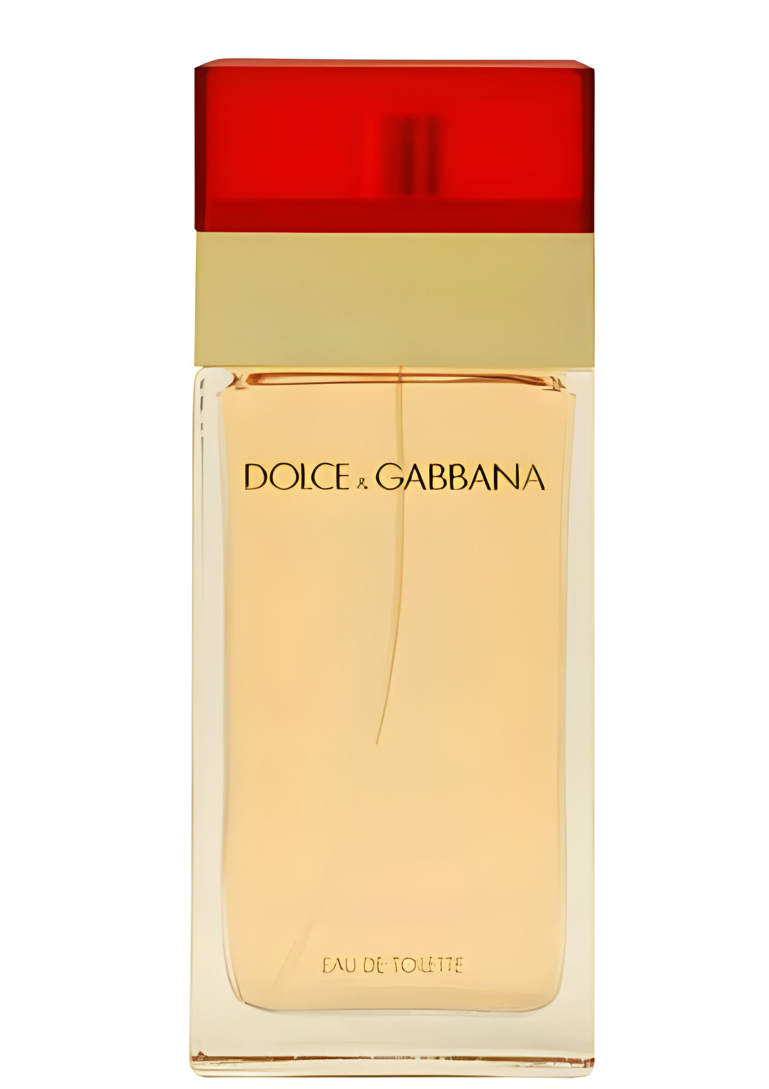 Dolce&Gabbana by Dolce&Gabbana perfume bottle