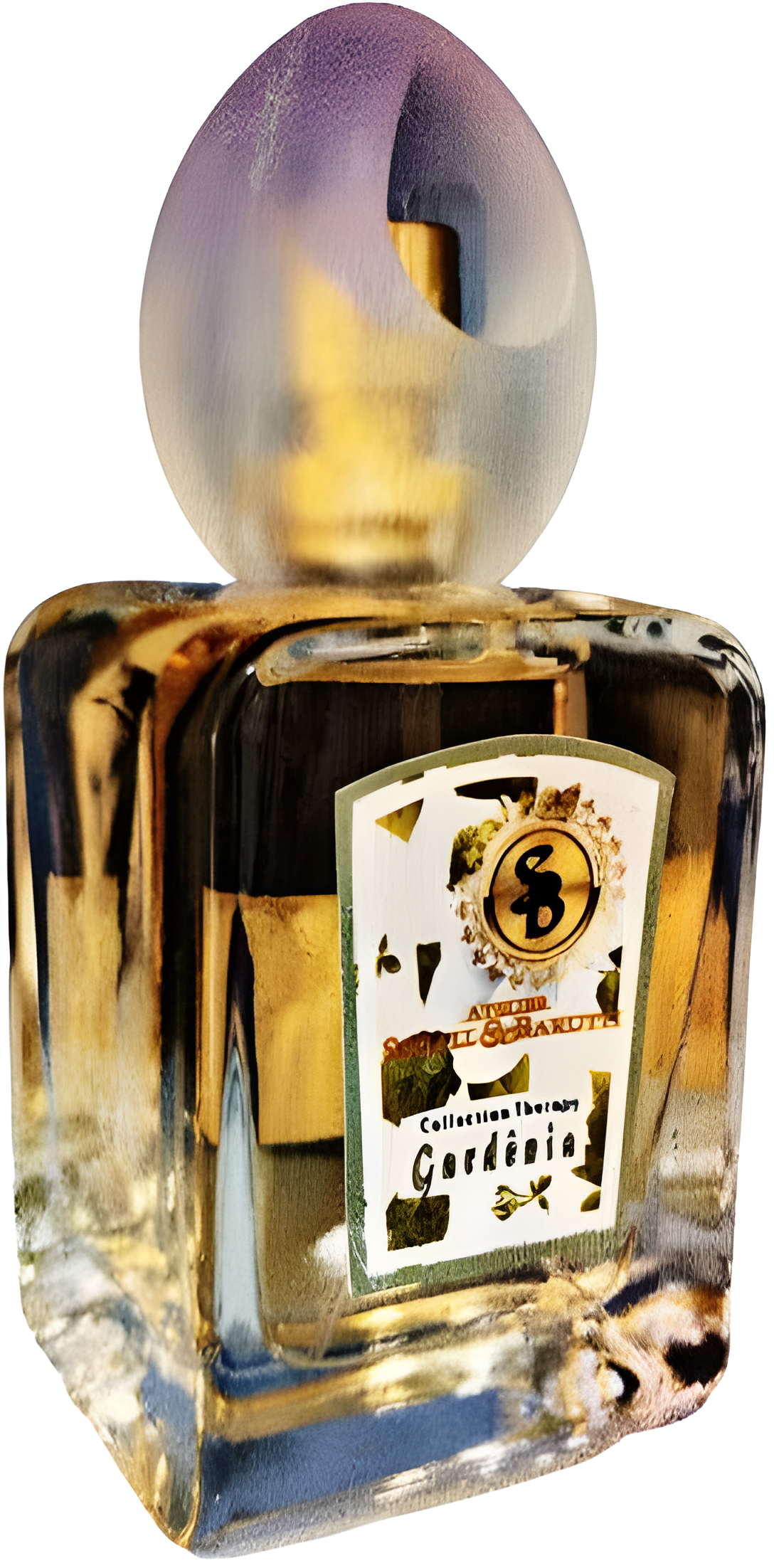 Gardênia by Atelier Segall & Barutti perfume bottle