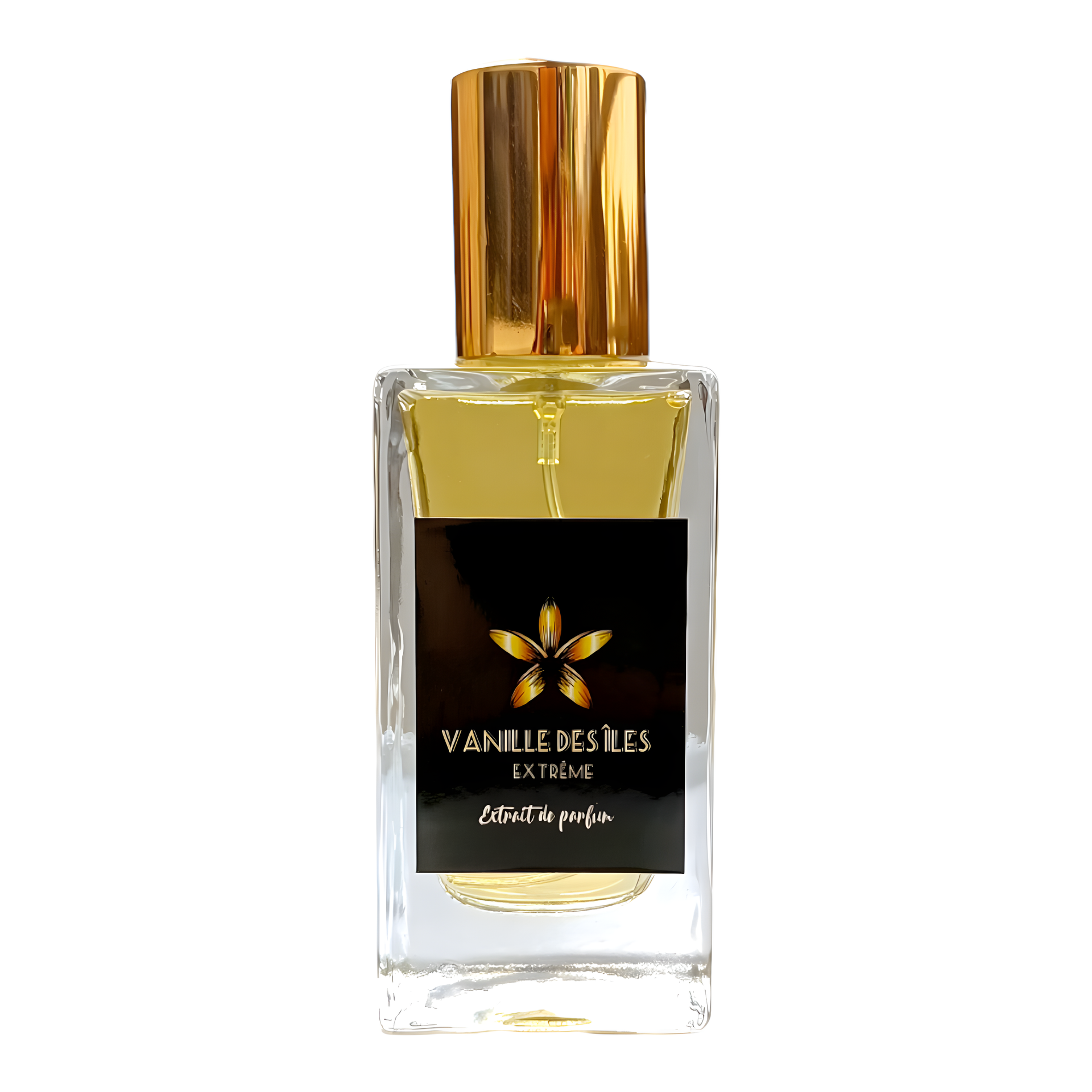 Vanille Des Îles Extrême by Ô Médina Perfumery perfume bottle